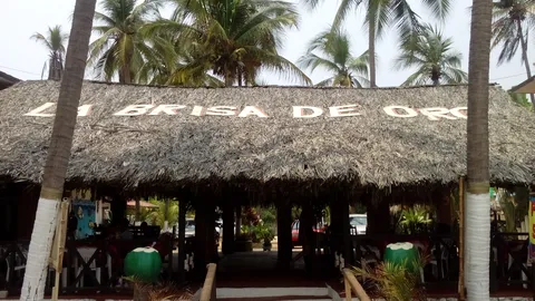 La Brisa de Oro image 1