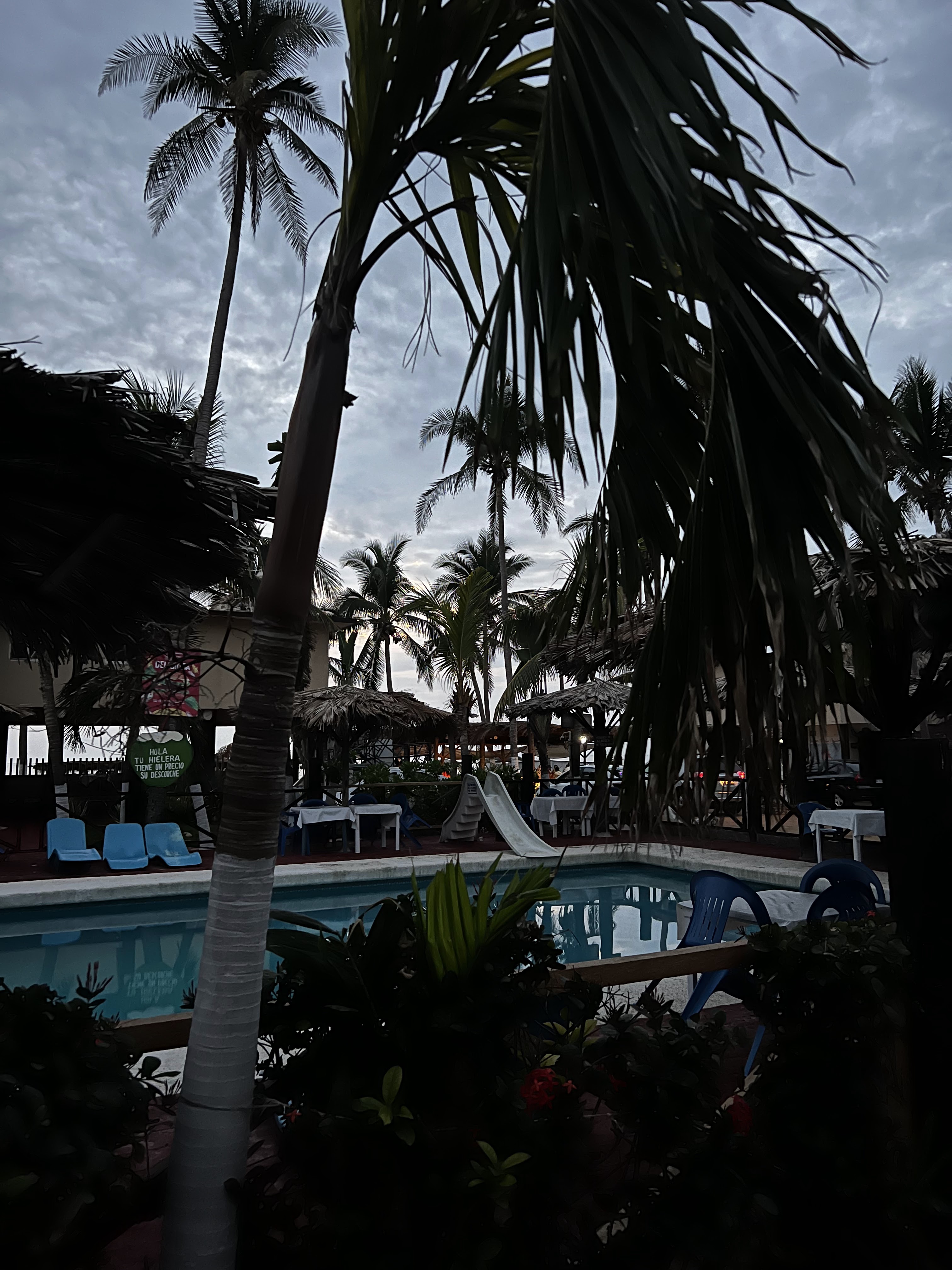 La Brisa de Oro image 9