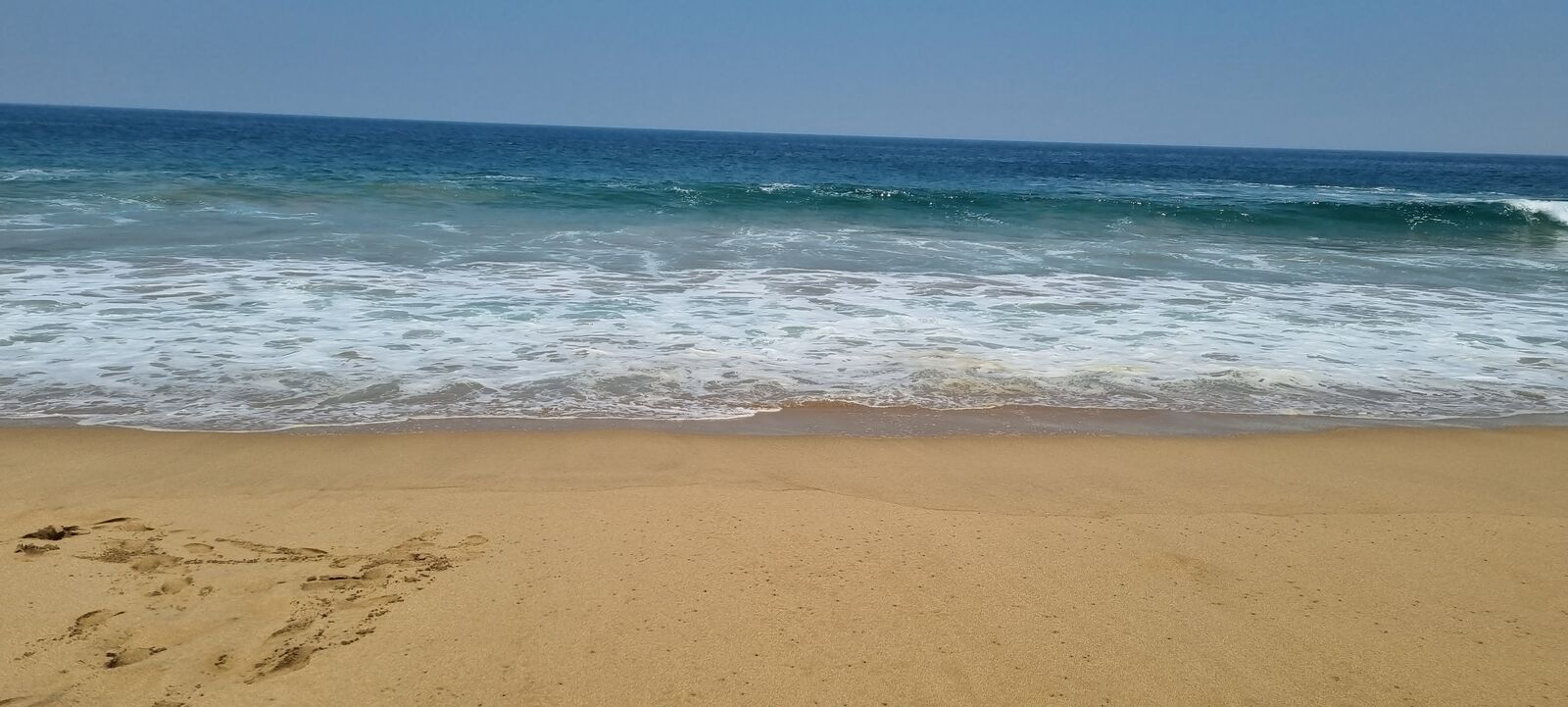 El Pacifico image 6