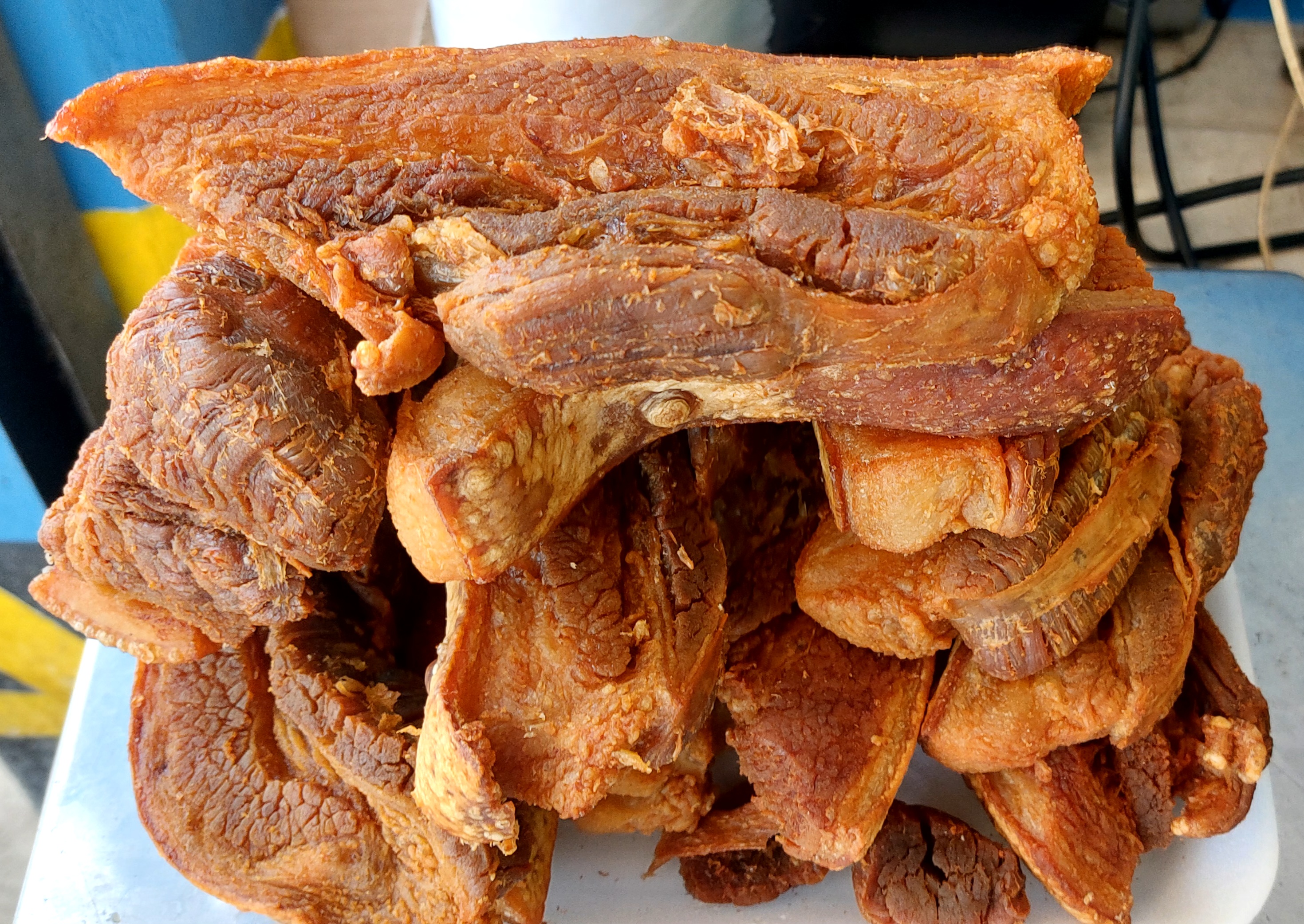 La Casa del Cuche image 1