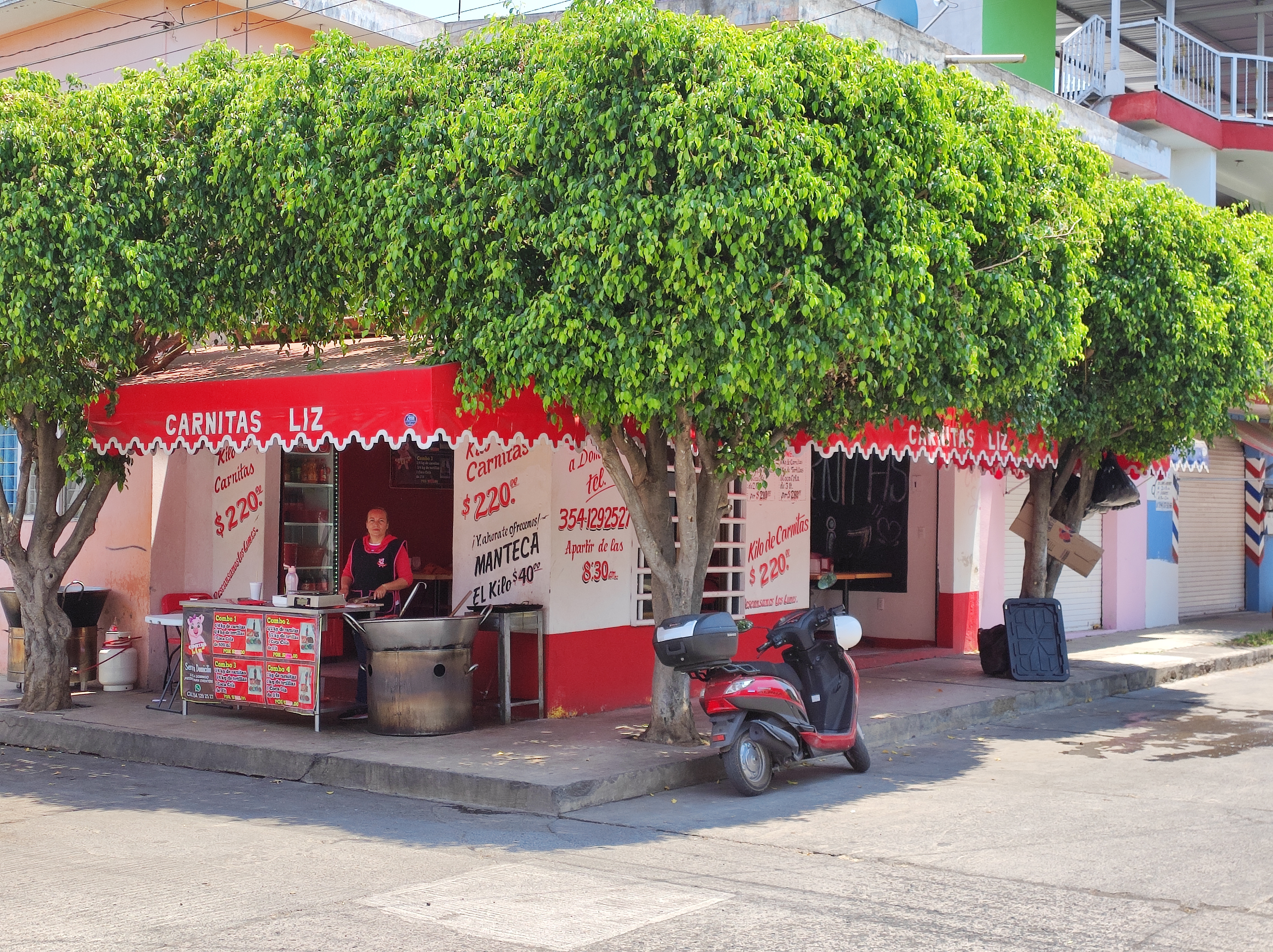 Carnitas liz image 1