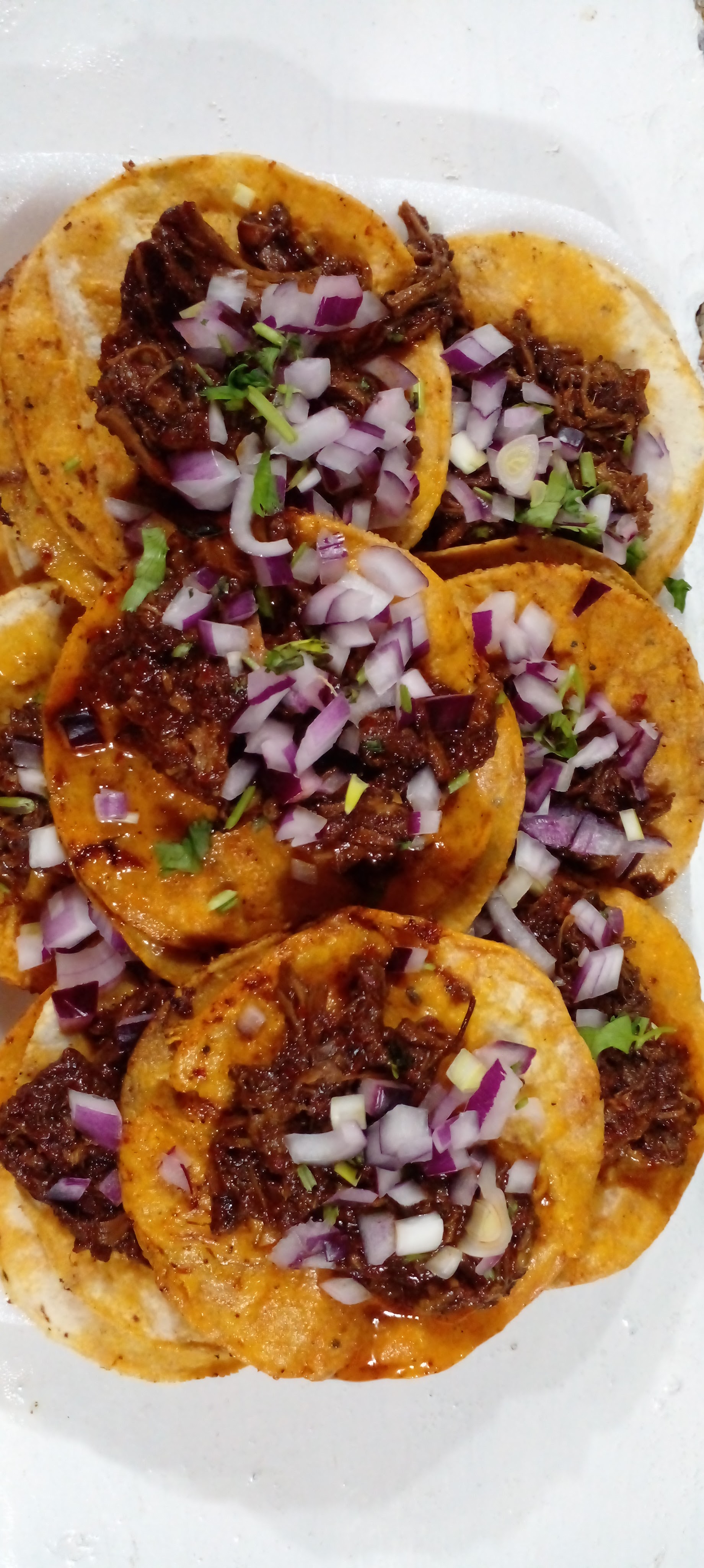 LA BIRRIERIA DEL PUERTO image 9