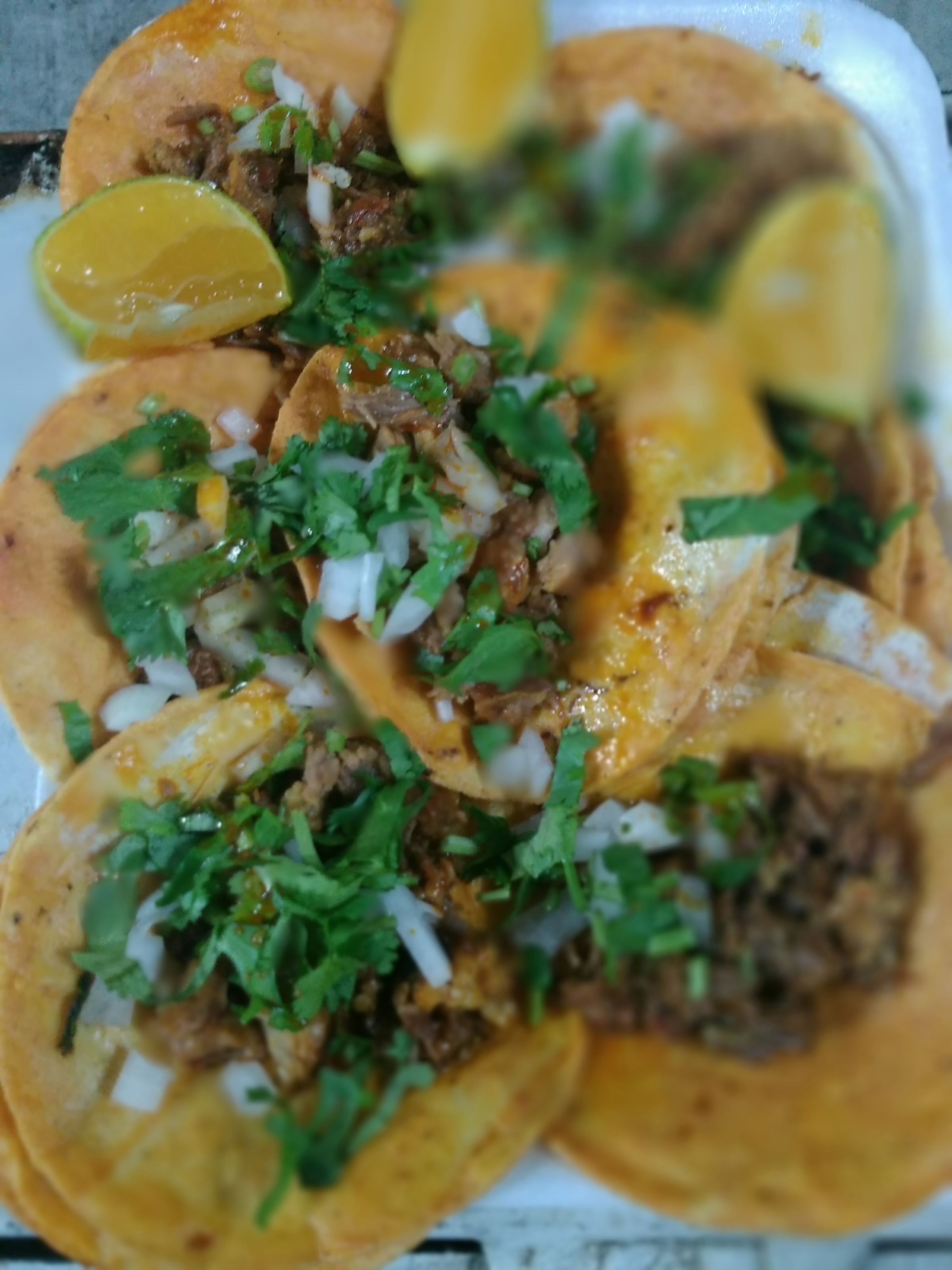 LA BIRRIERIA DEL PUERTO image 10