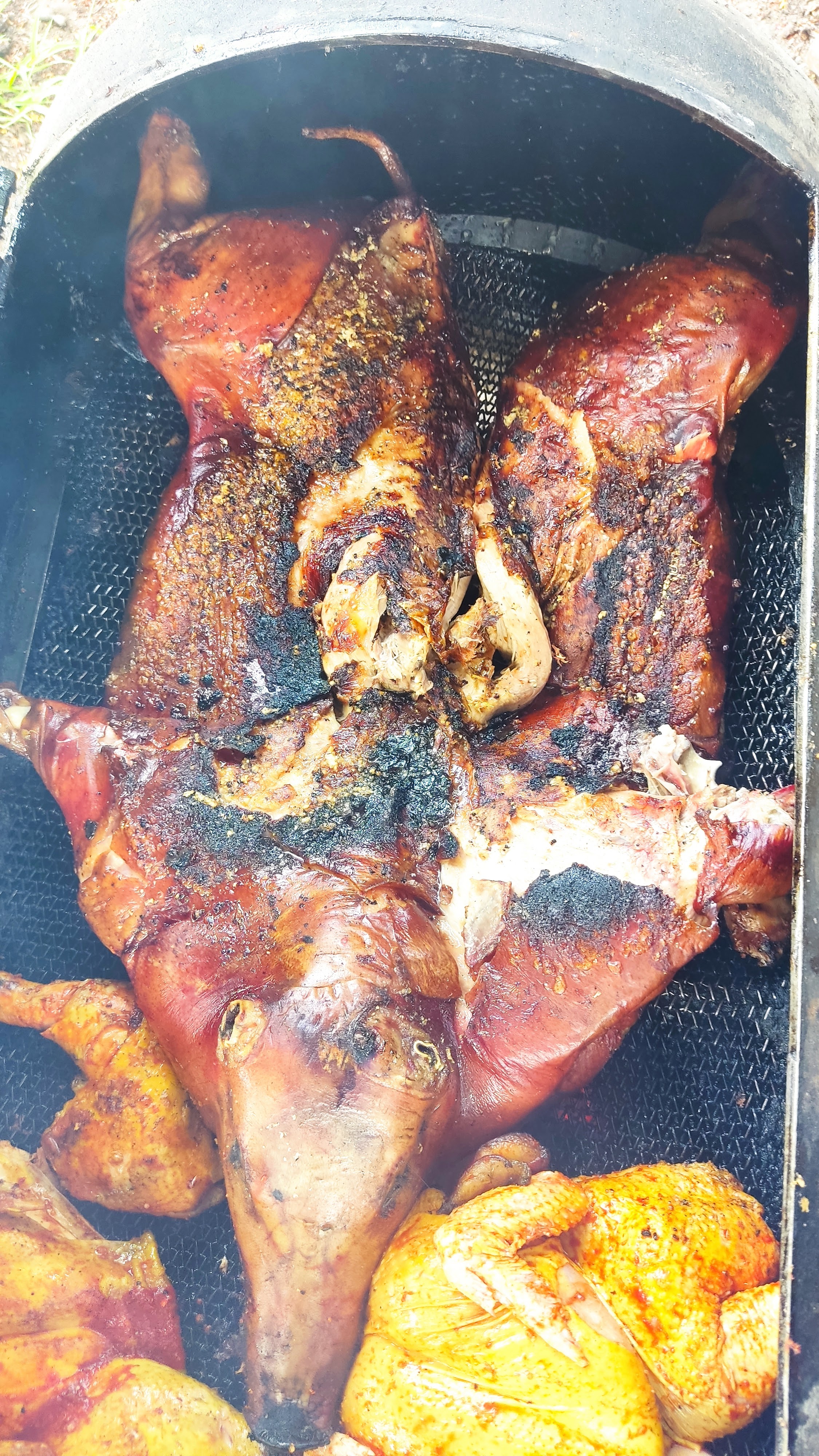 ALITAS Y COSTILLITAS "SAM" image 4