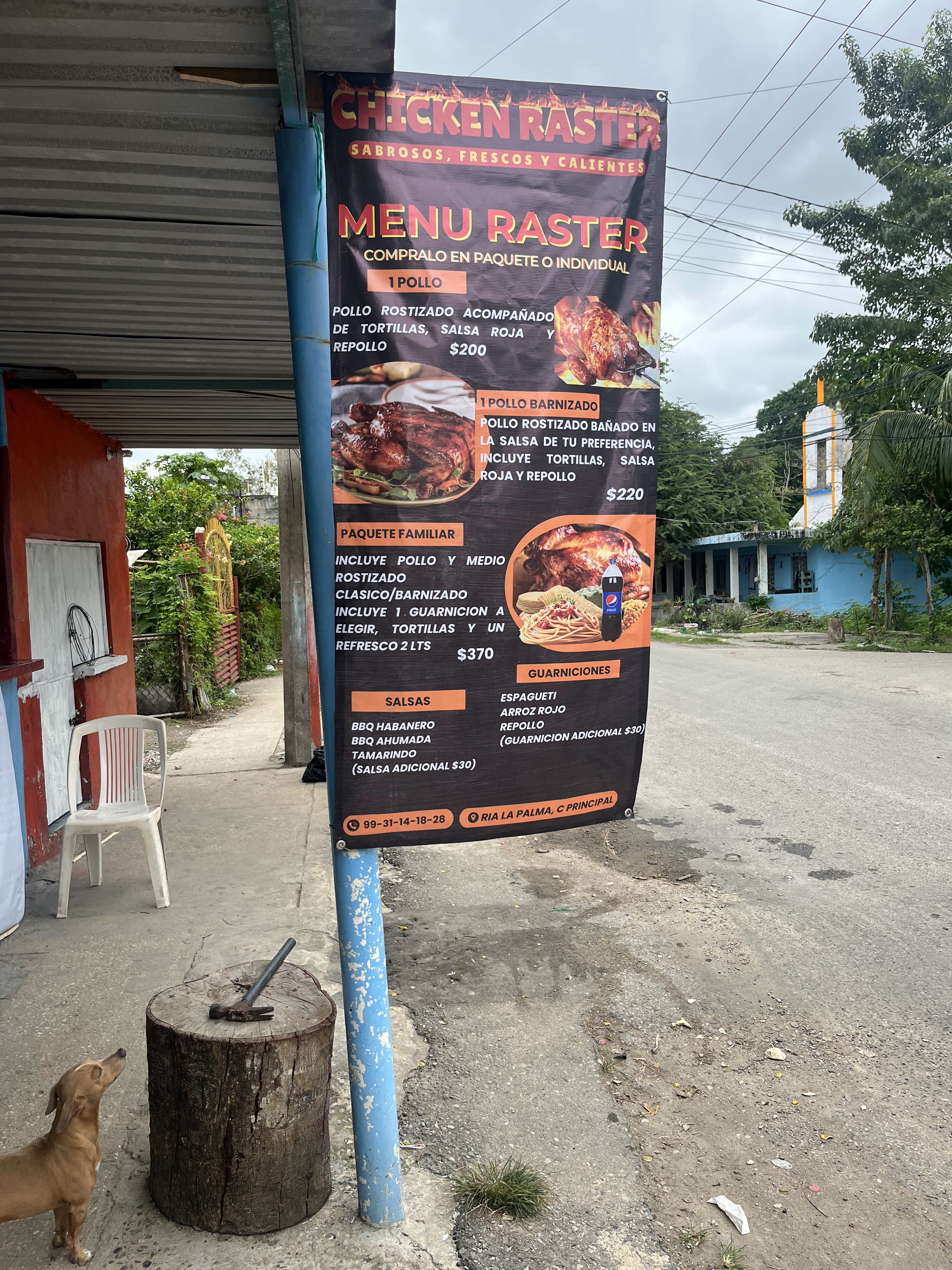 Chicken Raster image 1