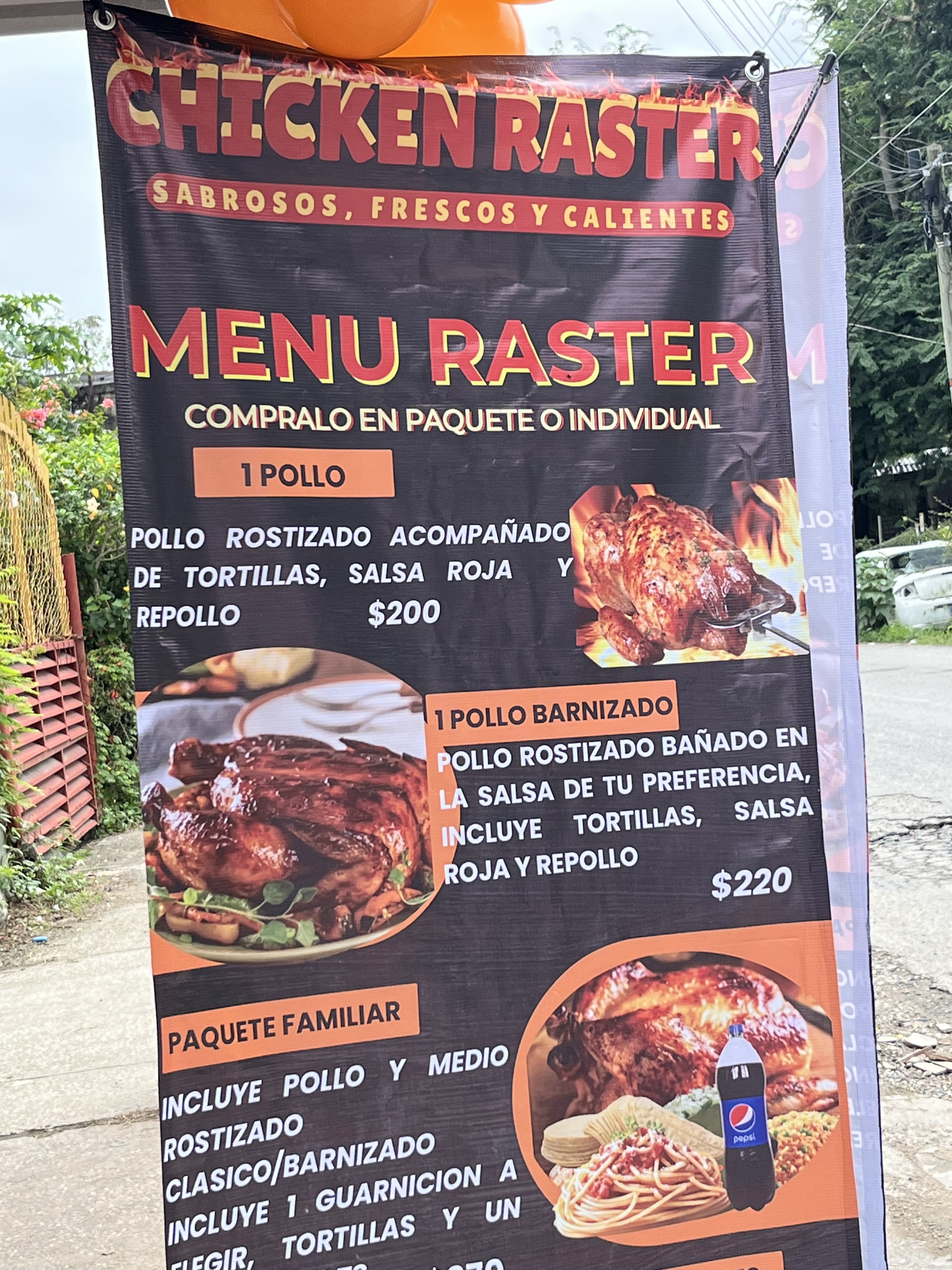 Chicken Raster image 3