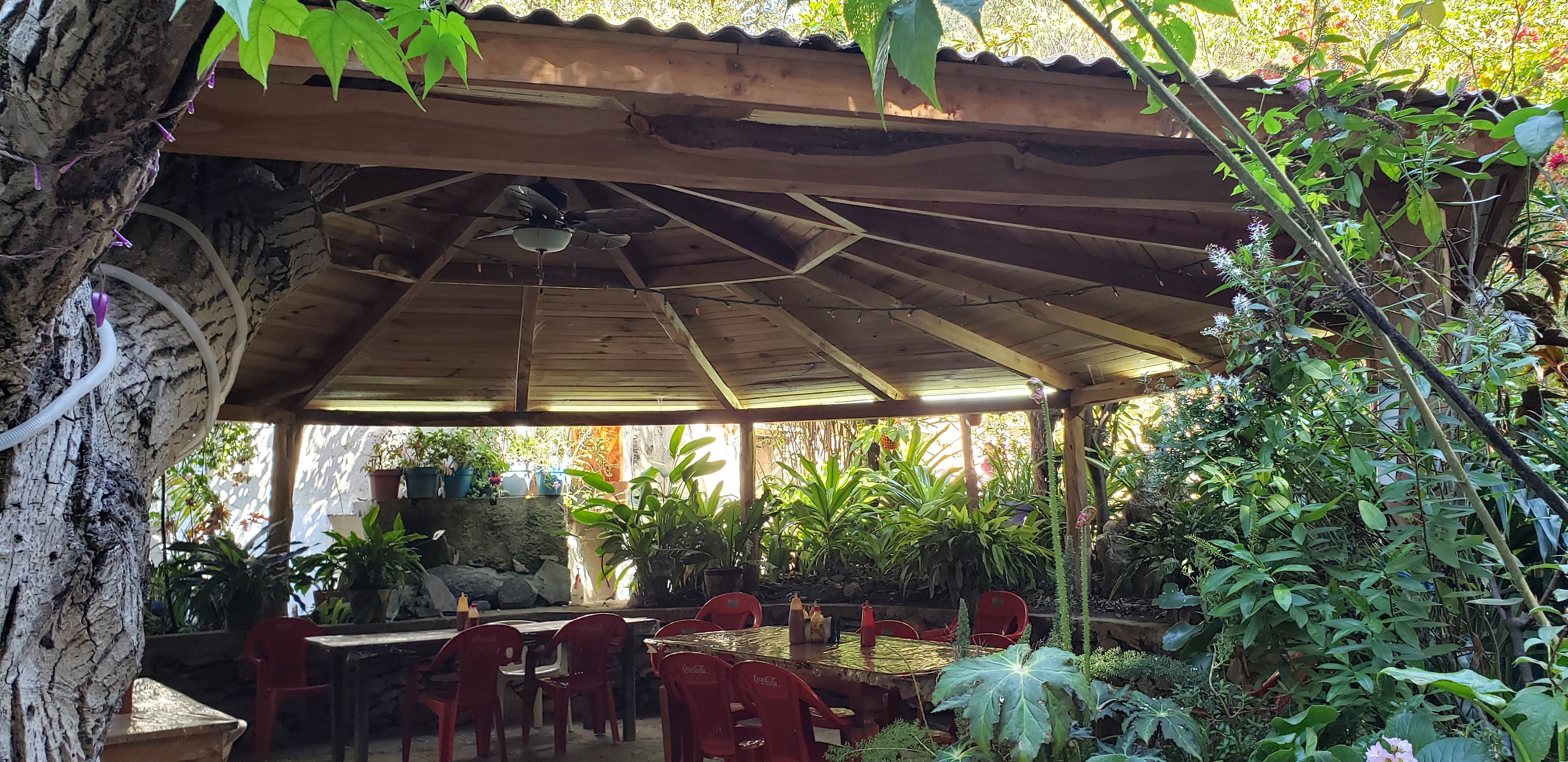 El Barco Perdido image 1