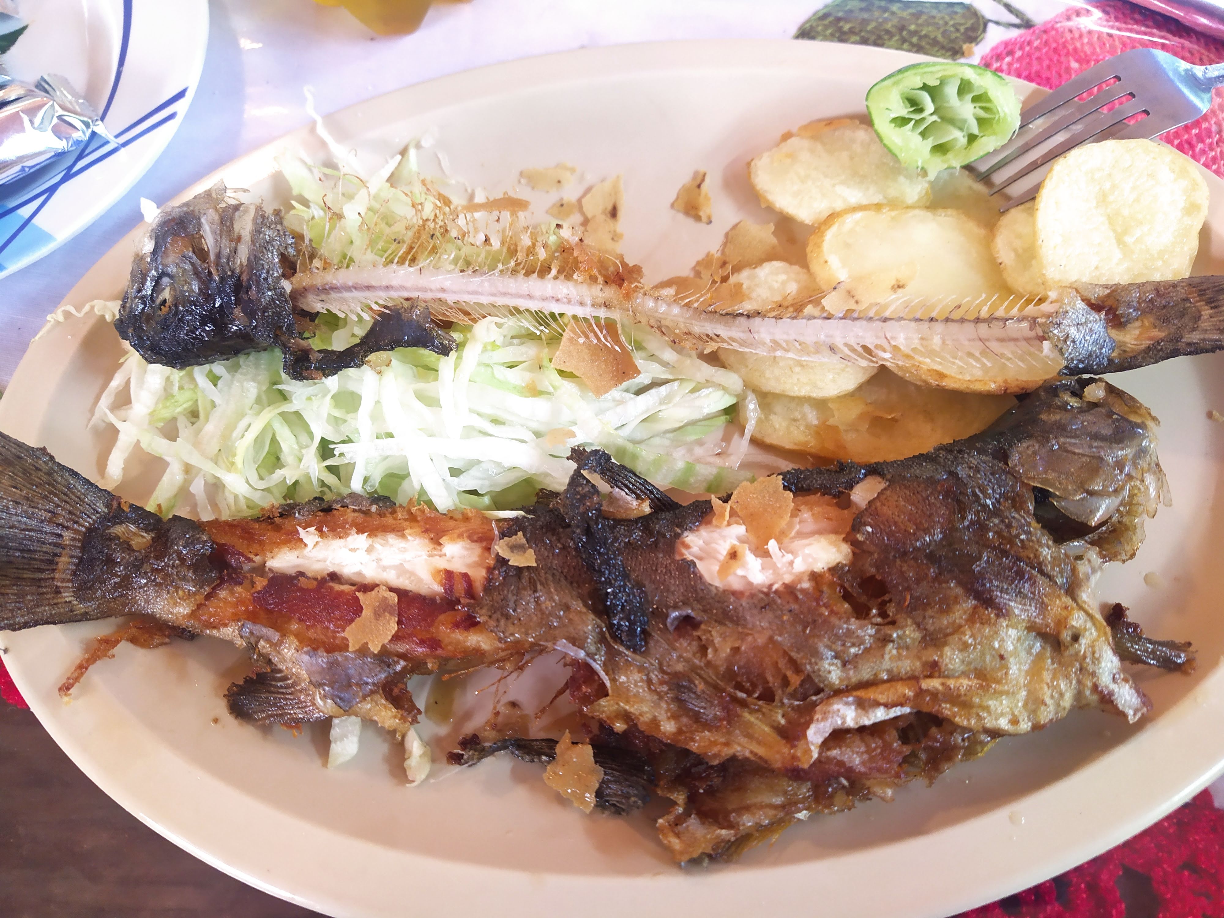 El Barco Perdido image 4