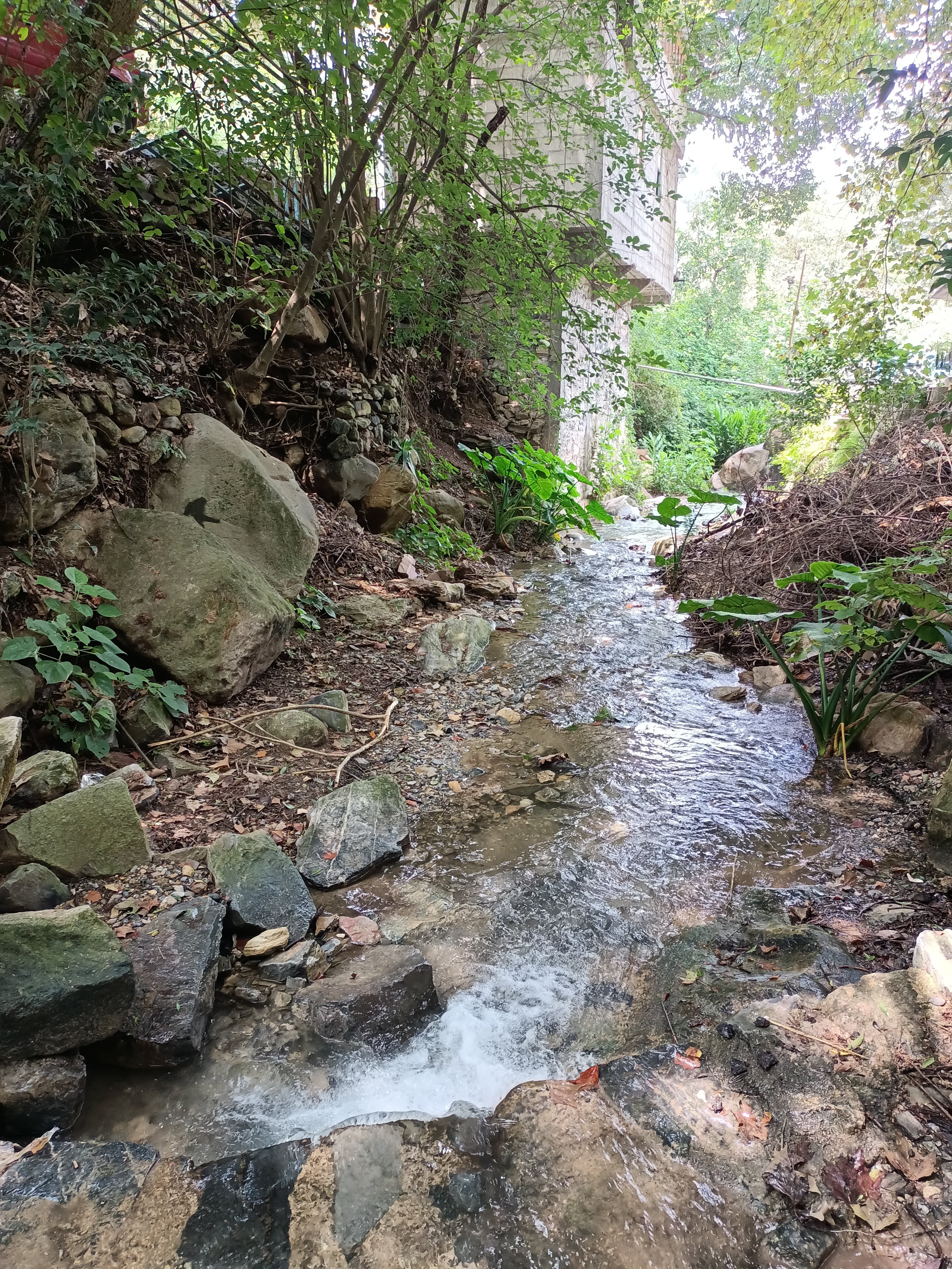 El Barco Perdido image 7