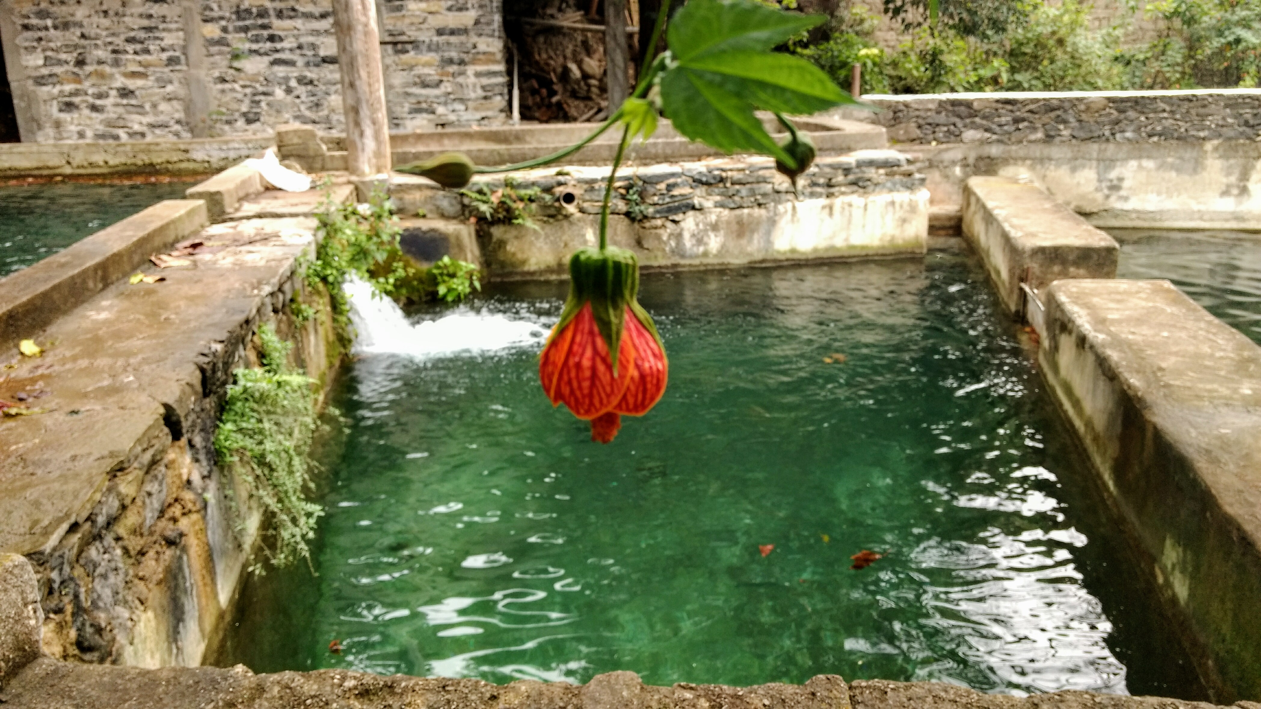 El Barco Perdido image 9