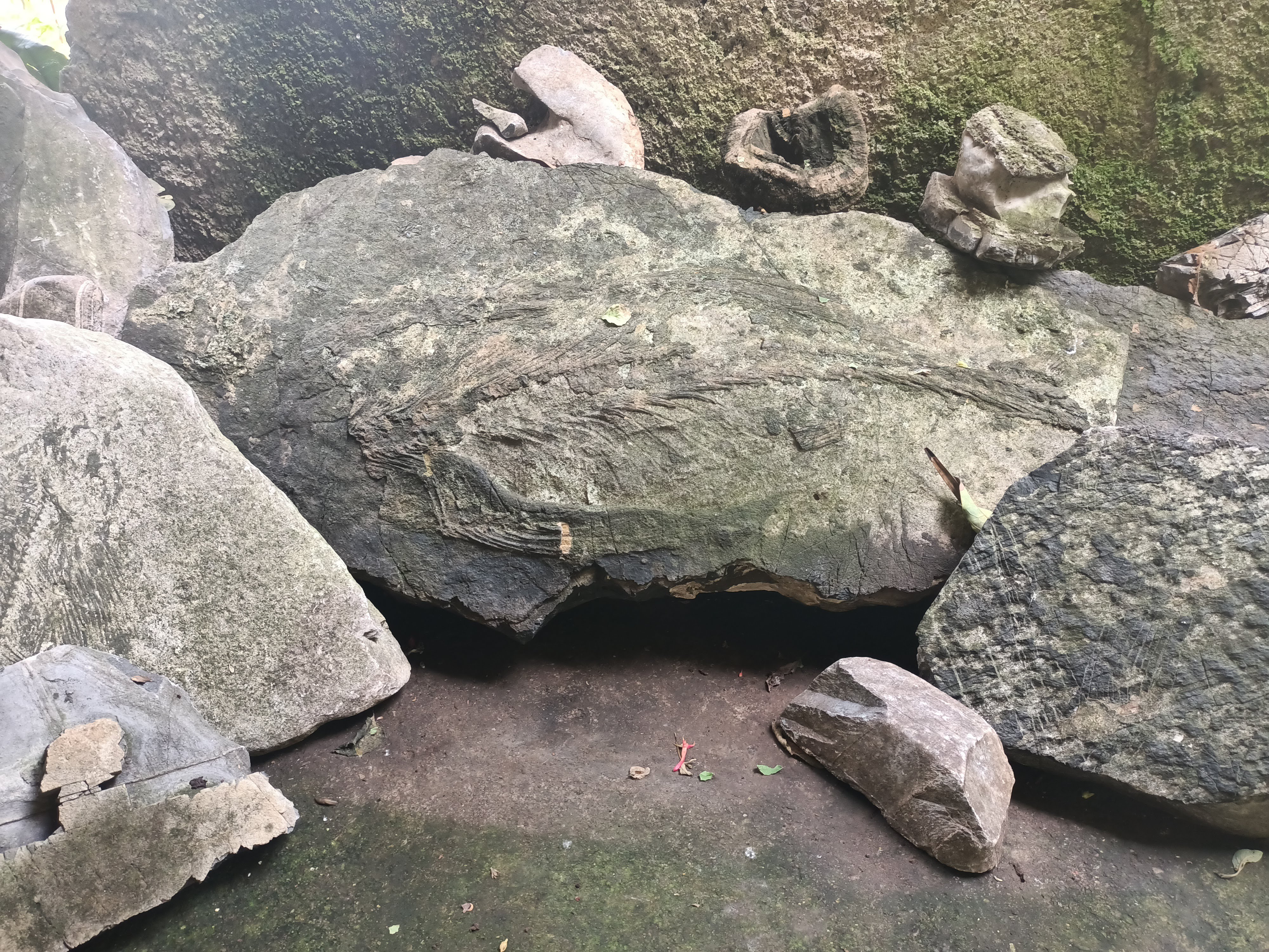 El Barco Perdido image 10