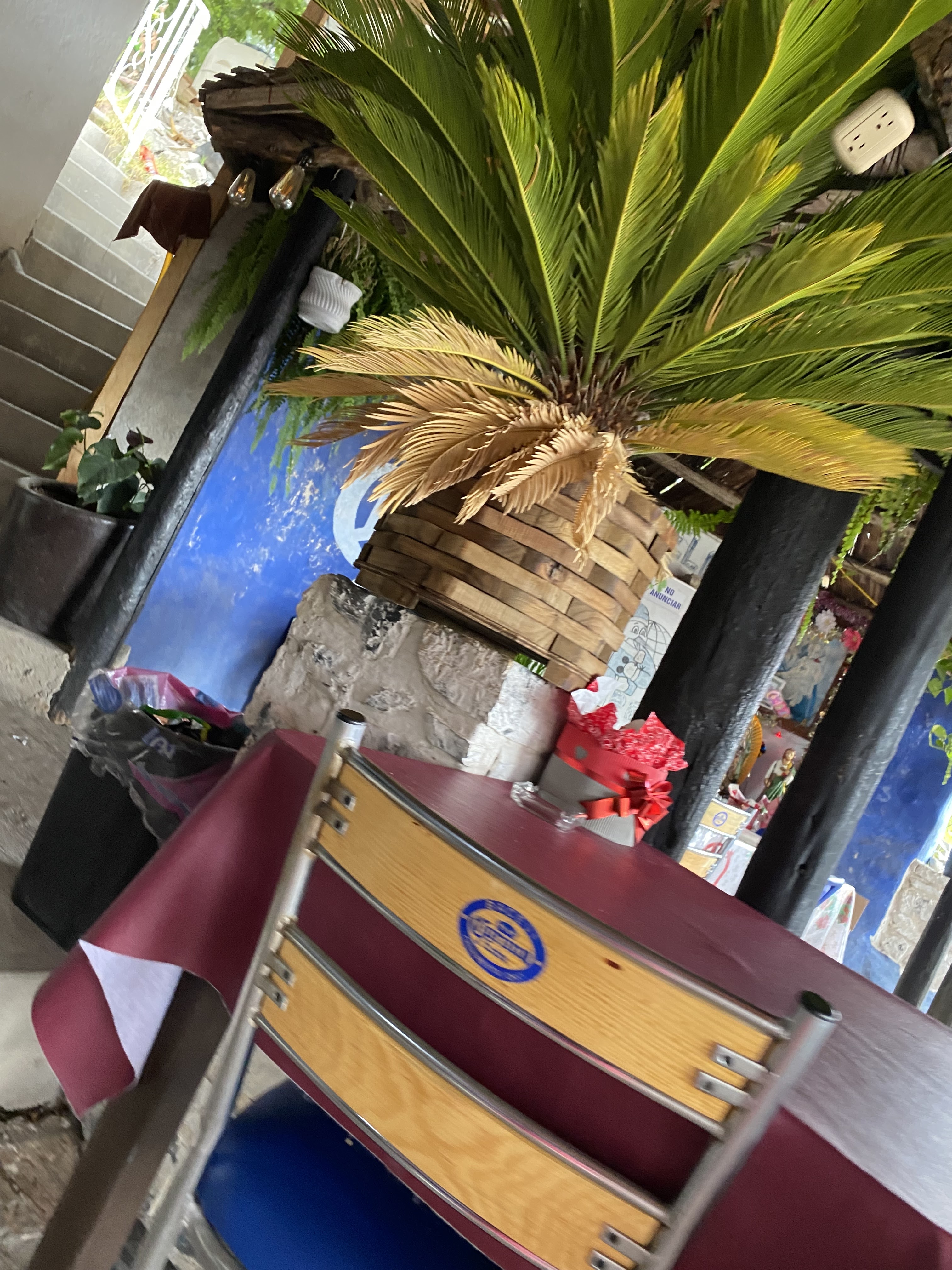 Restaurante LA PATRONA image 3