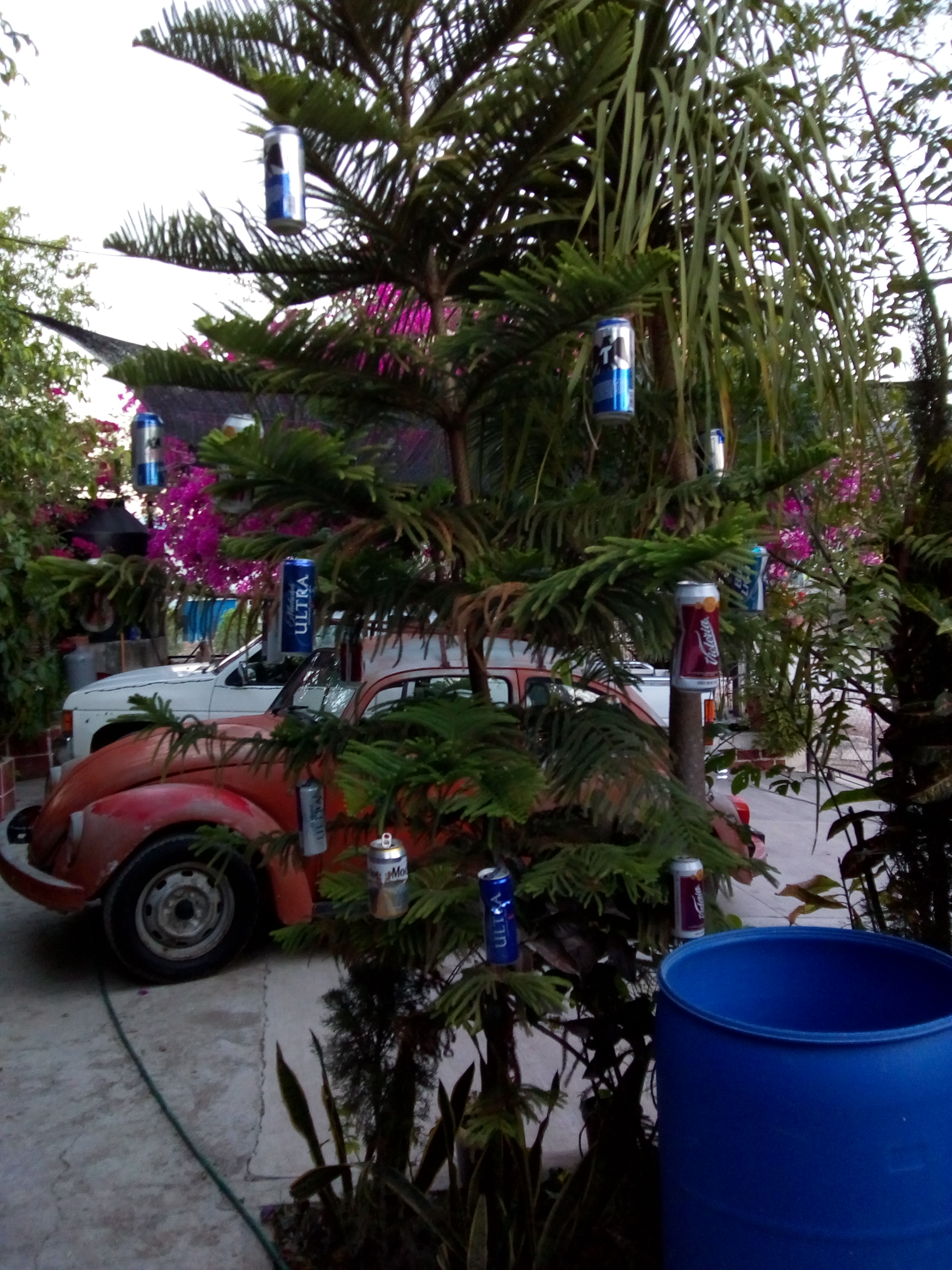 Restaurant LOS ARCOS image 3