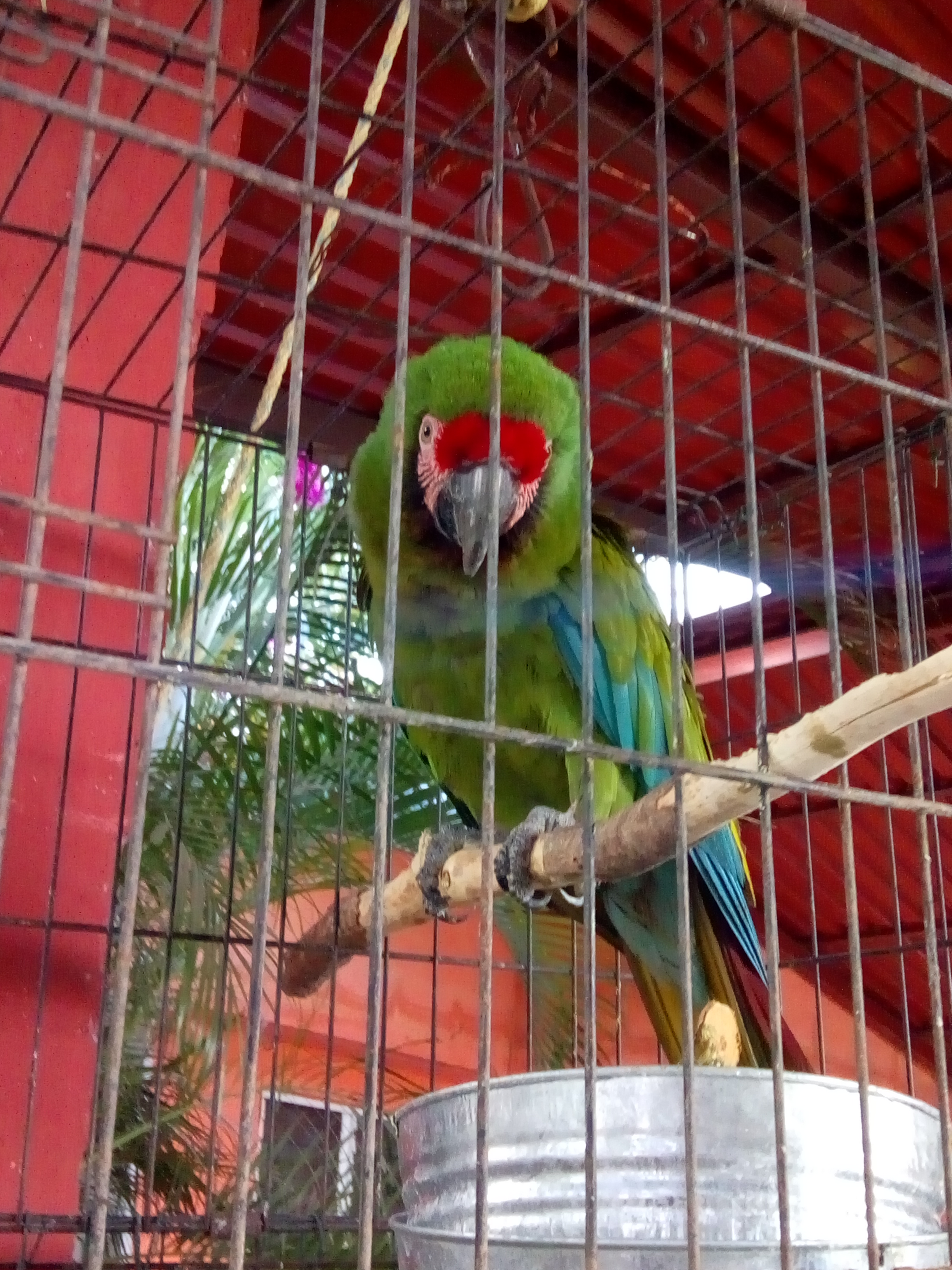 Restaurant LOS ARCOS image 10