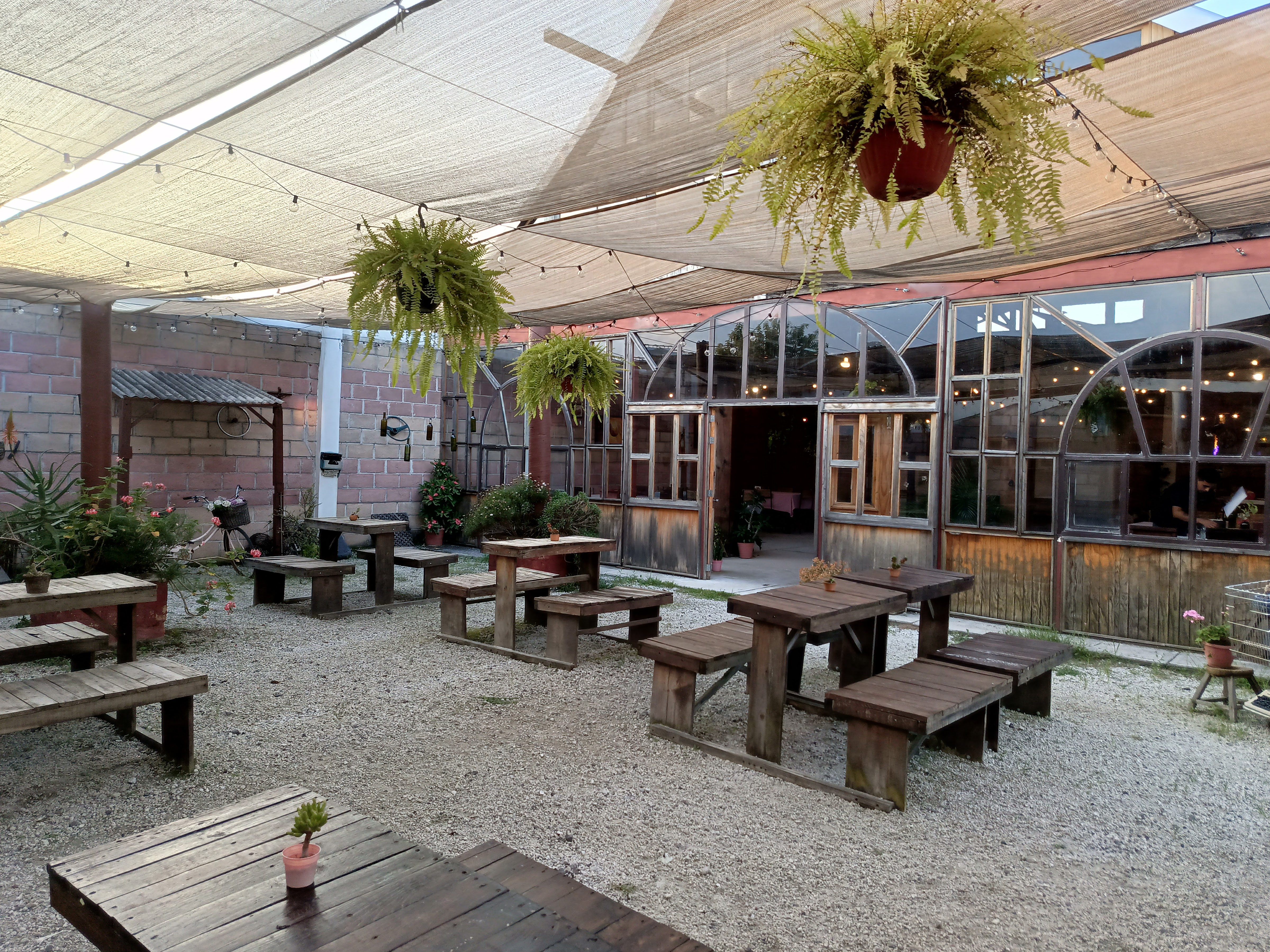 Rosmarino Pasta, Pizza & Vino image 7