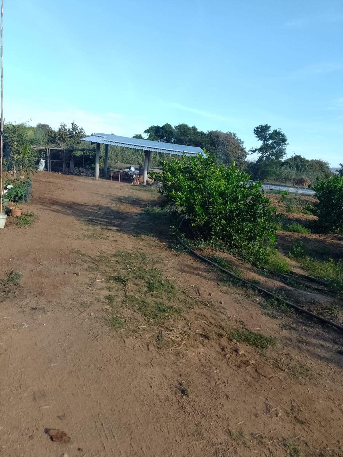 El rancho del pez image 1