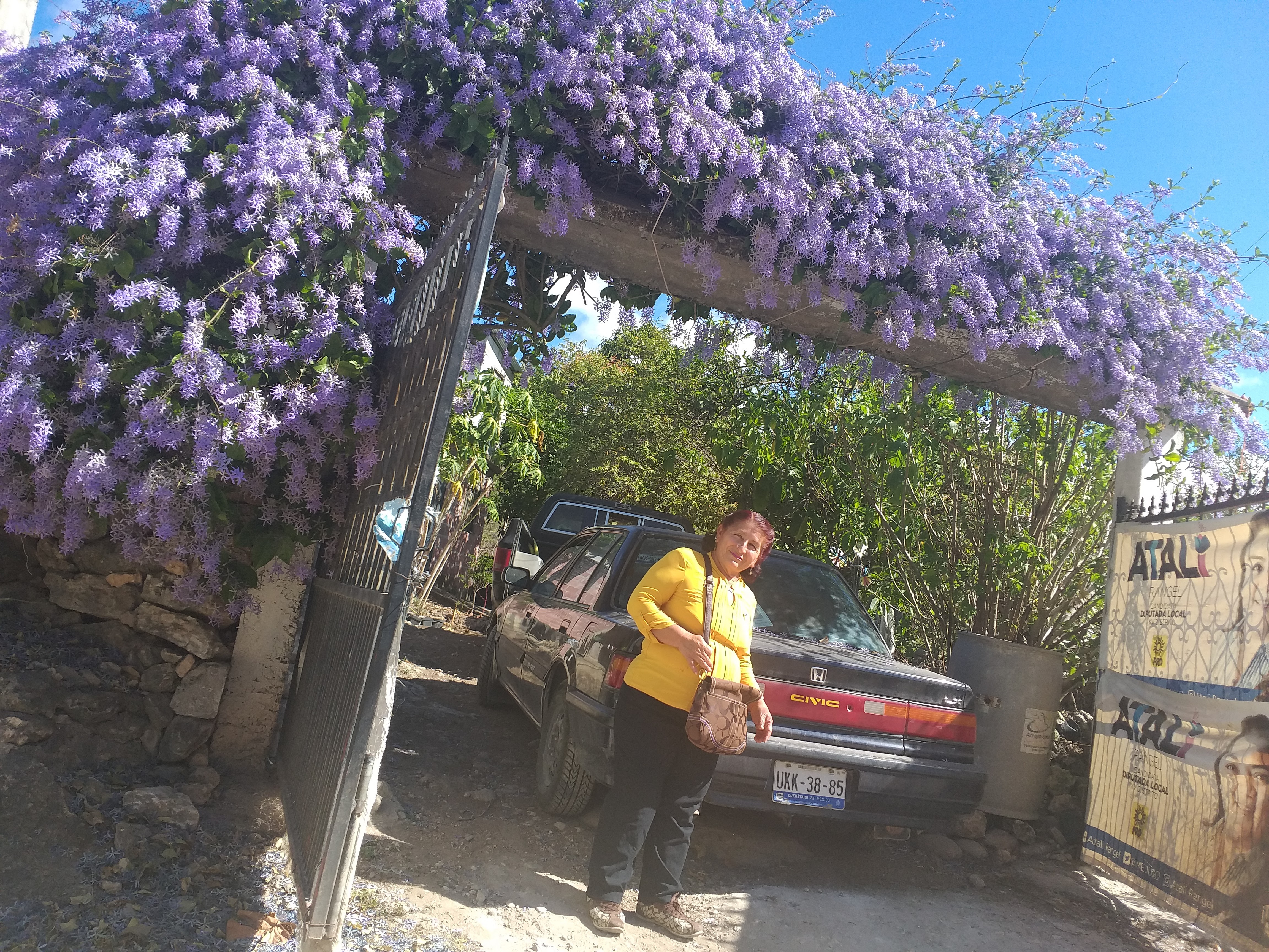 Restaurante Avenida image 1