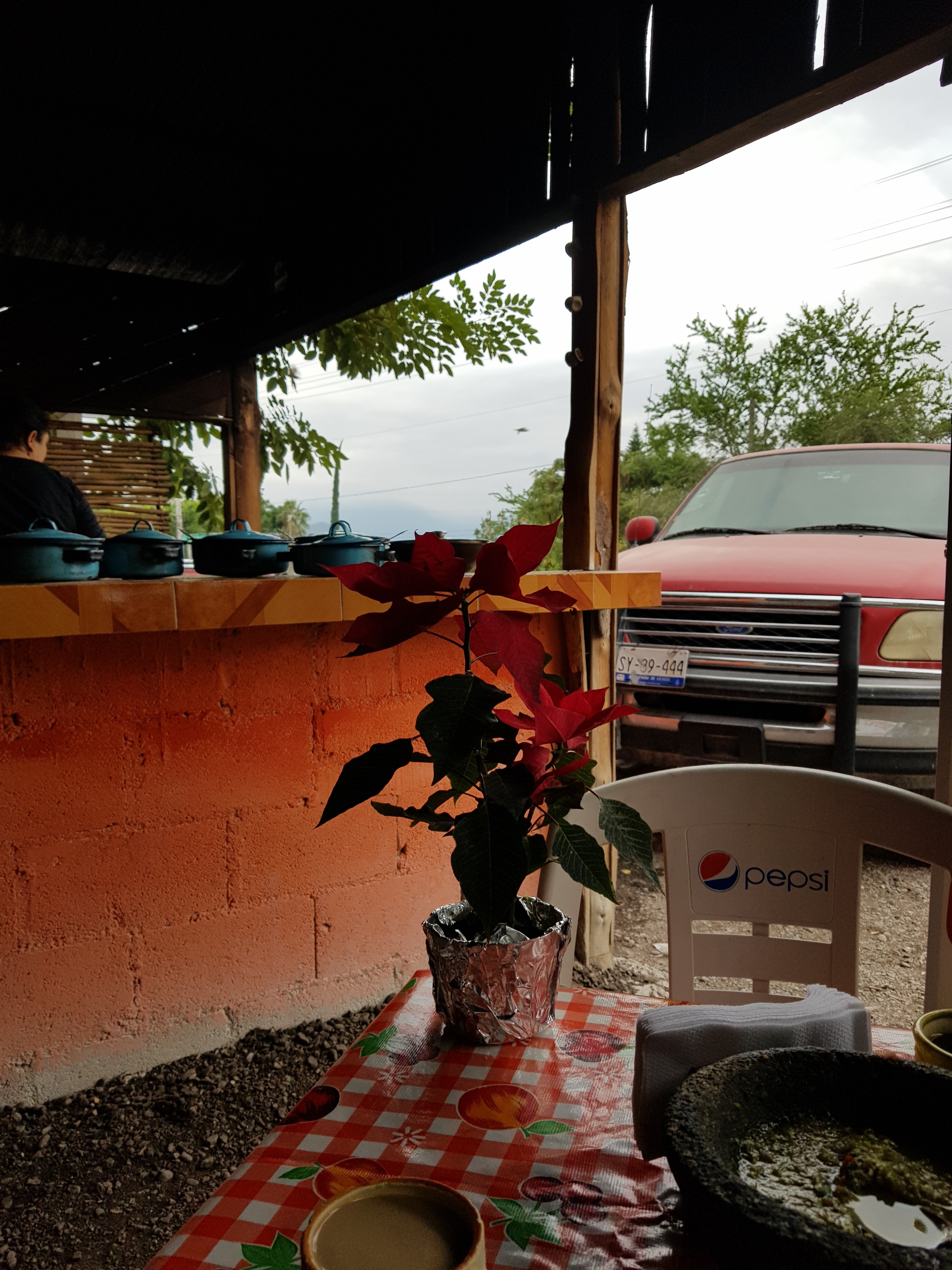 Ruta 69: Gorditas & Quesadillas. image 8