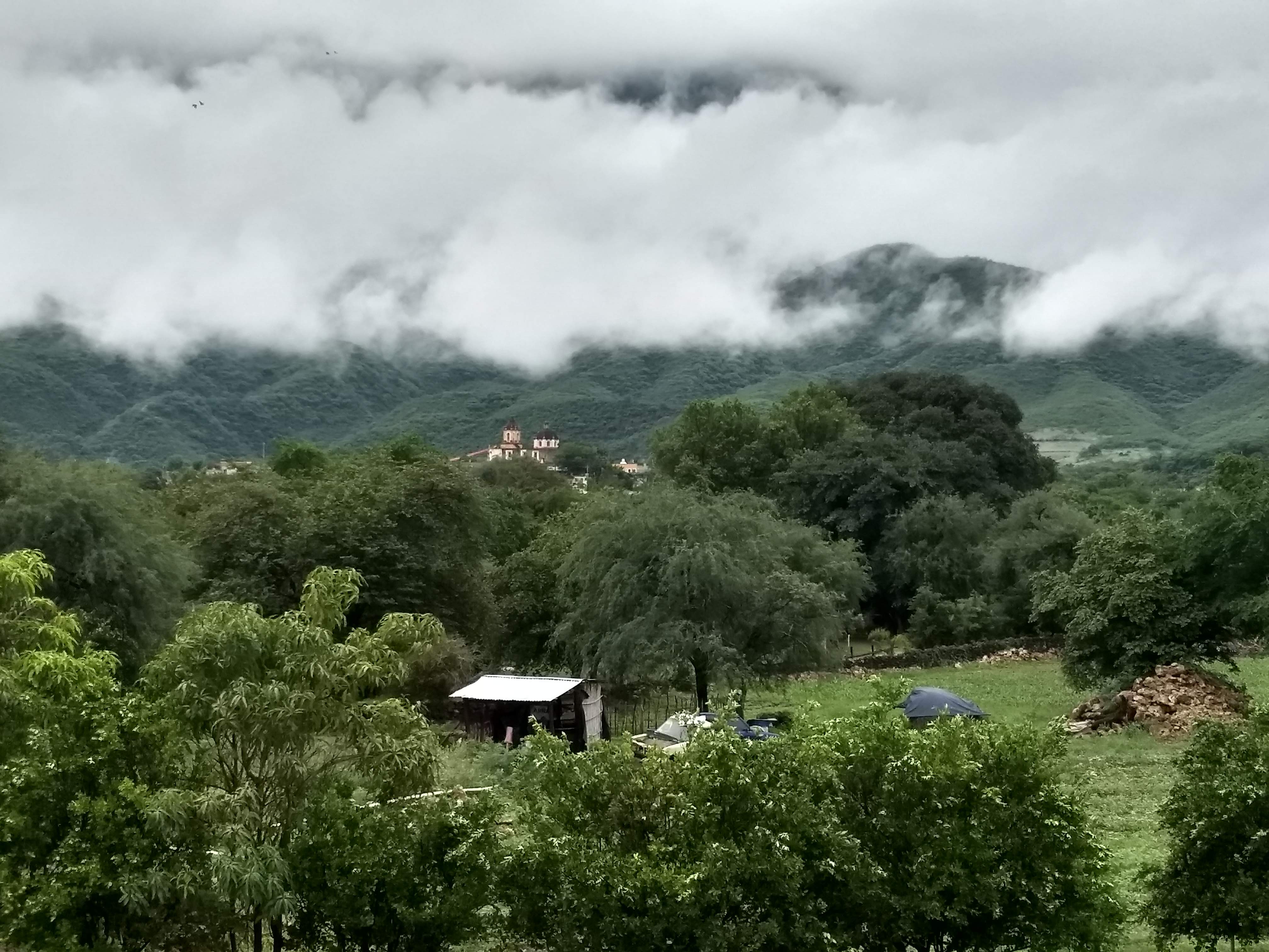 Restaurant Bar "La Palapa" image 3