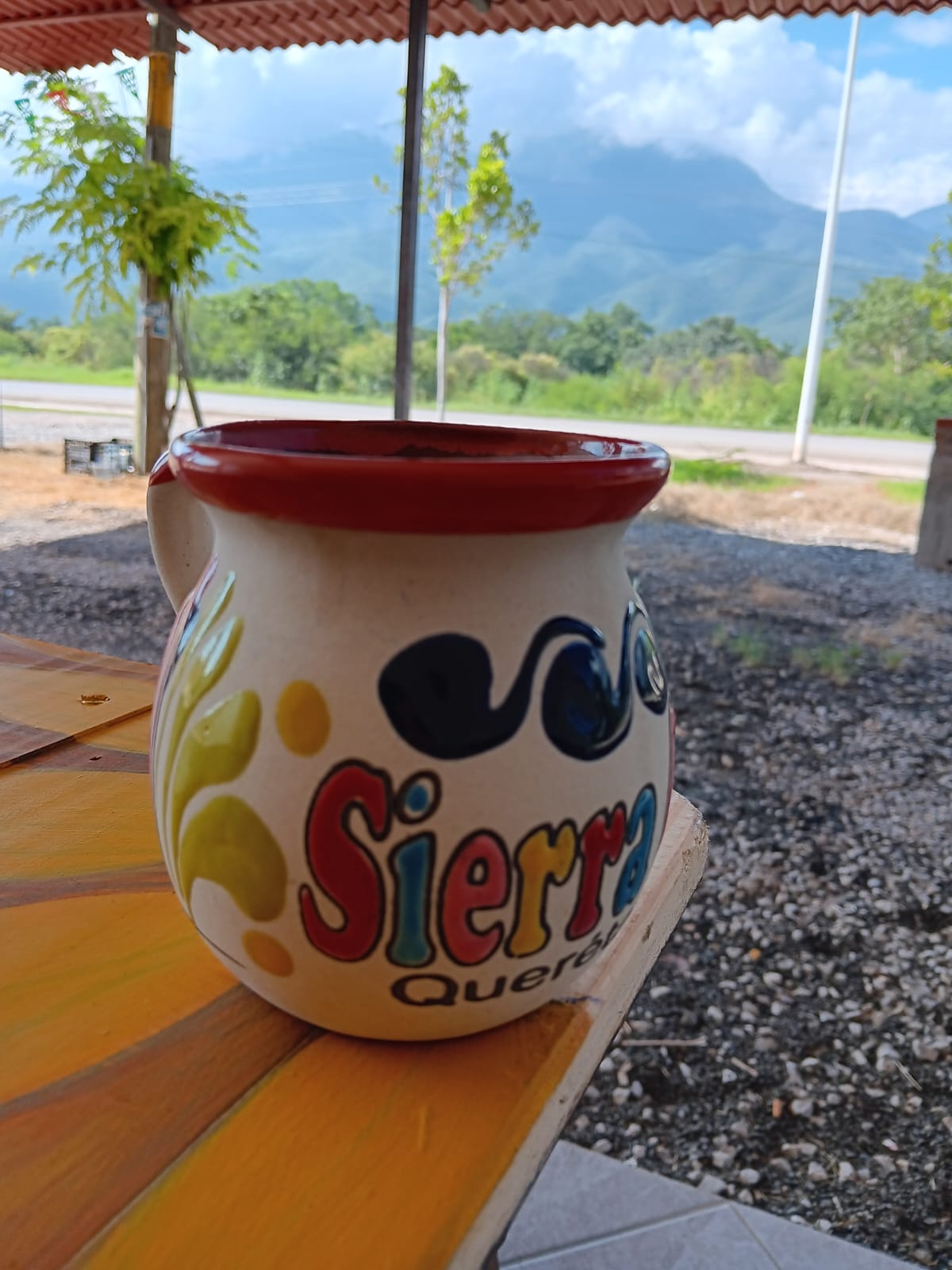 Los Girasoles image 3