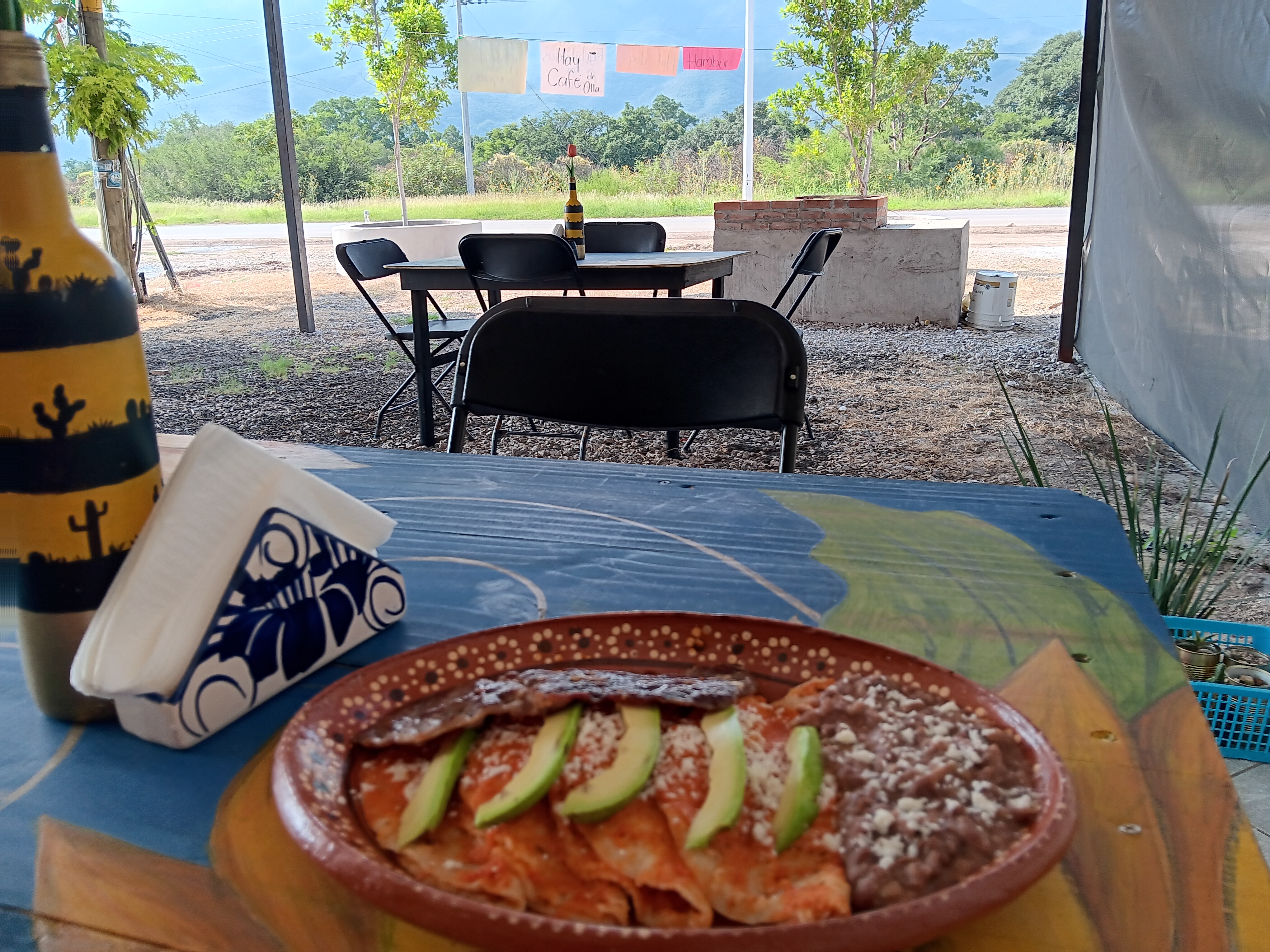 Los Girasoles image 5