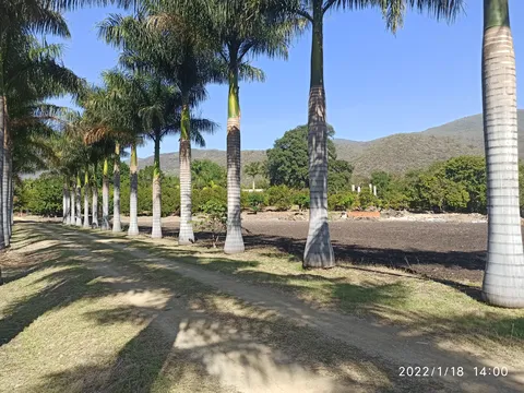 La Huerta image 4