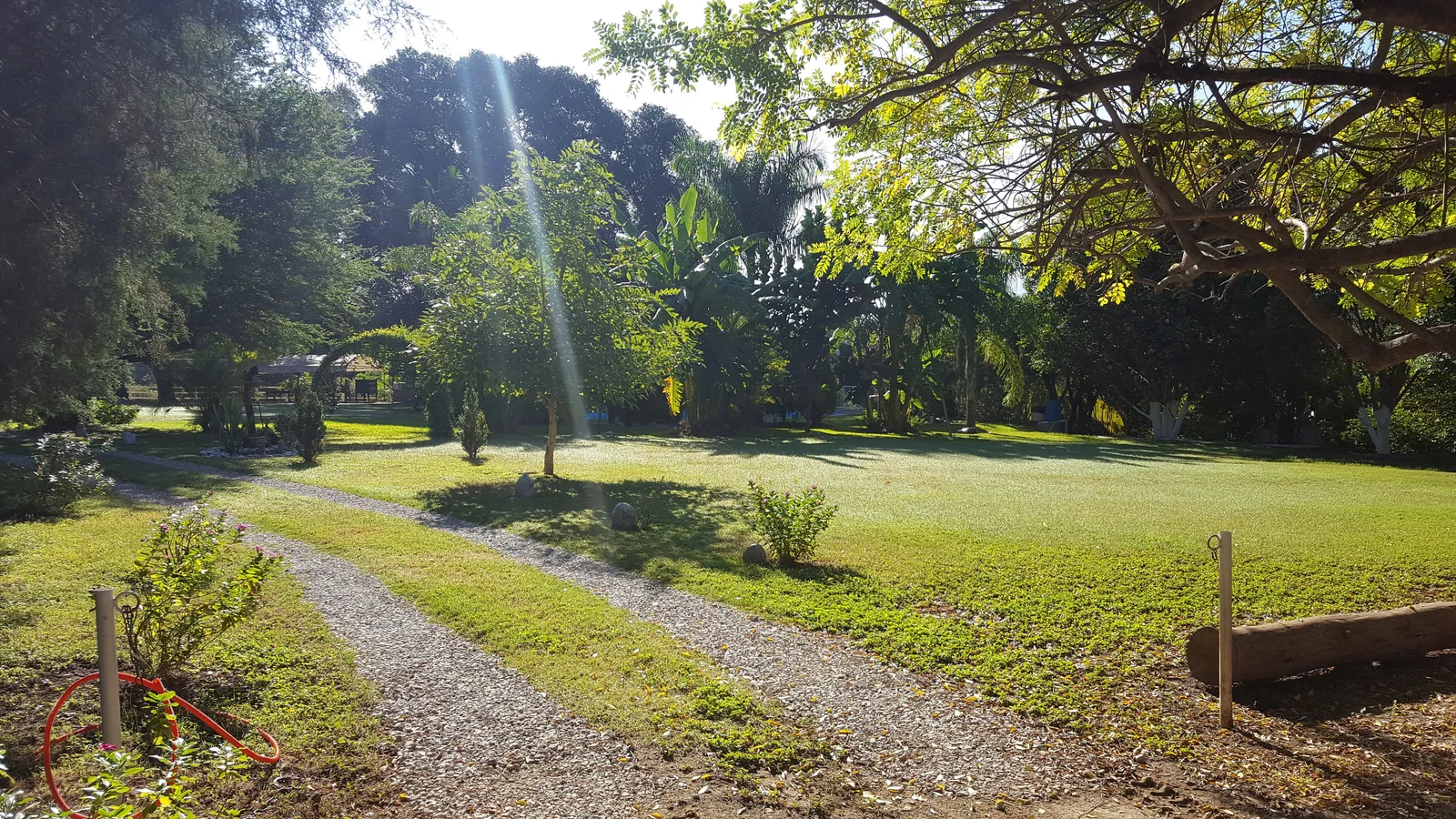 La Huerta image 6