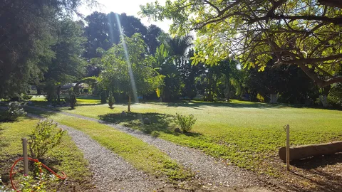 La Huerta image 6