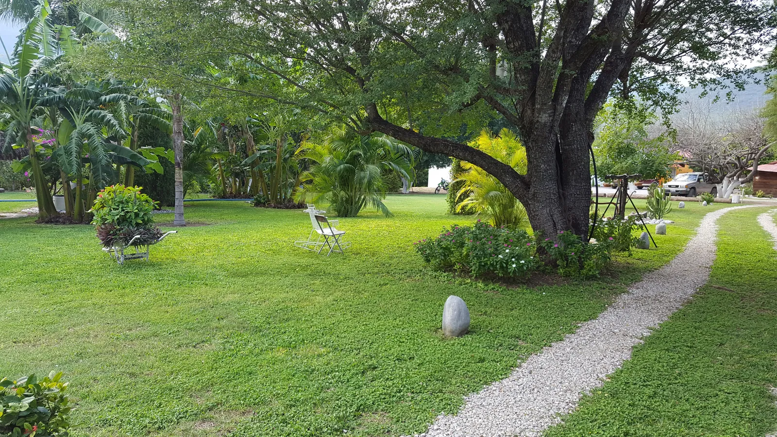 La Huerta image 9