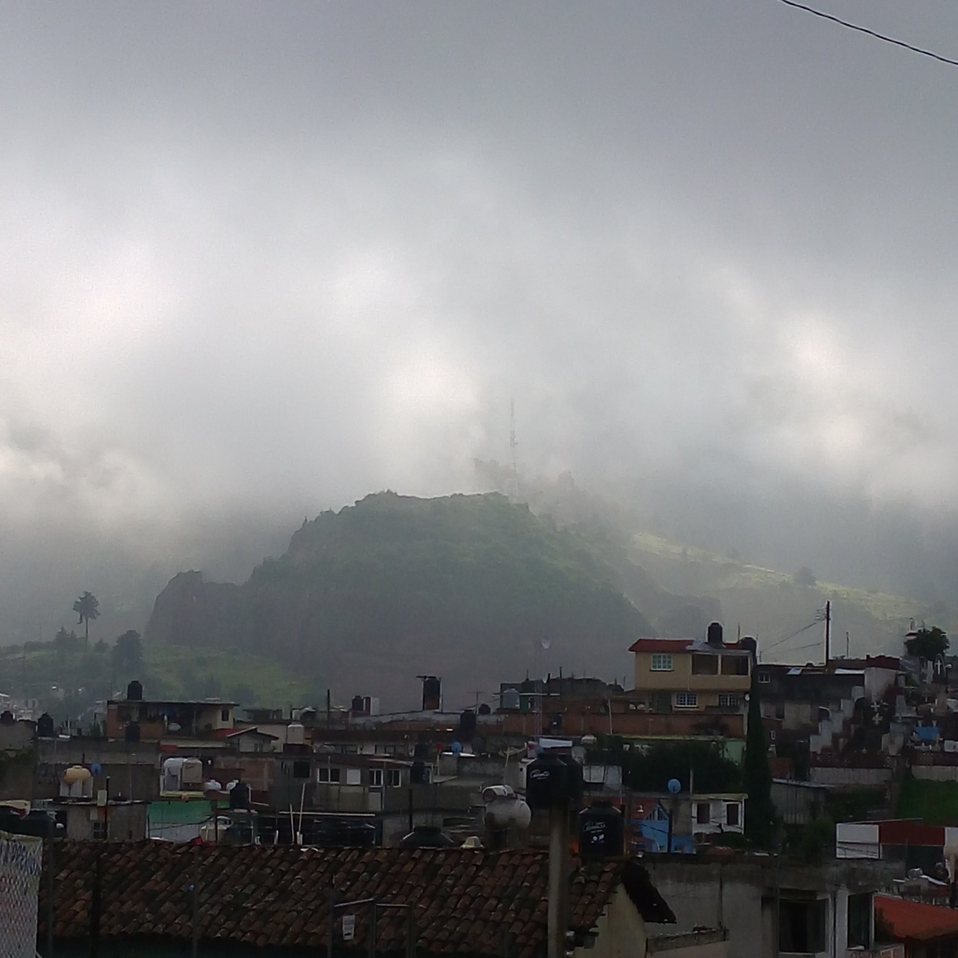 barbacoa y pollos max image 1