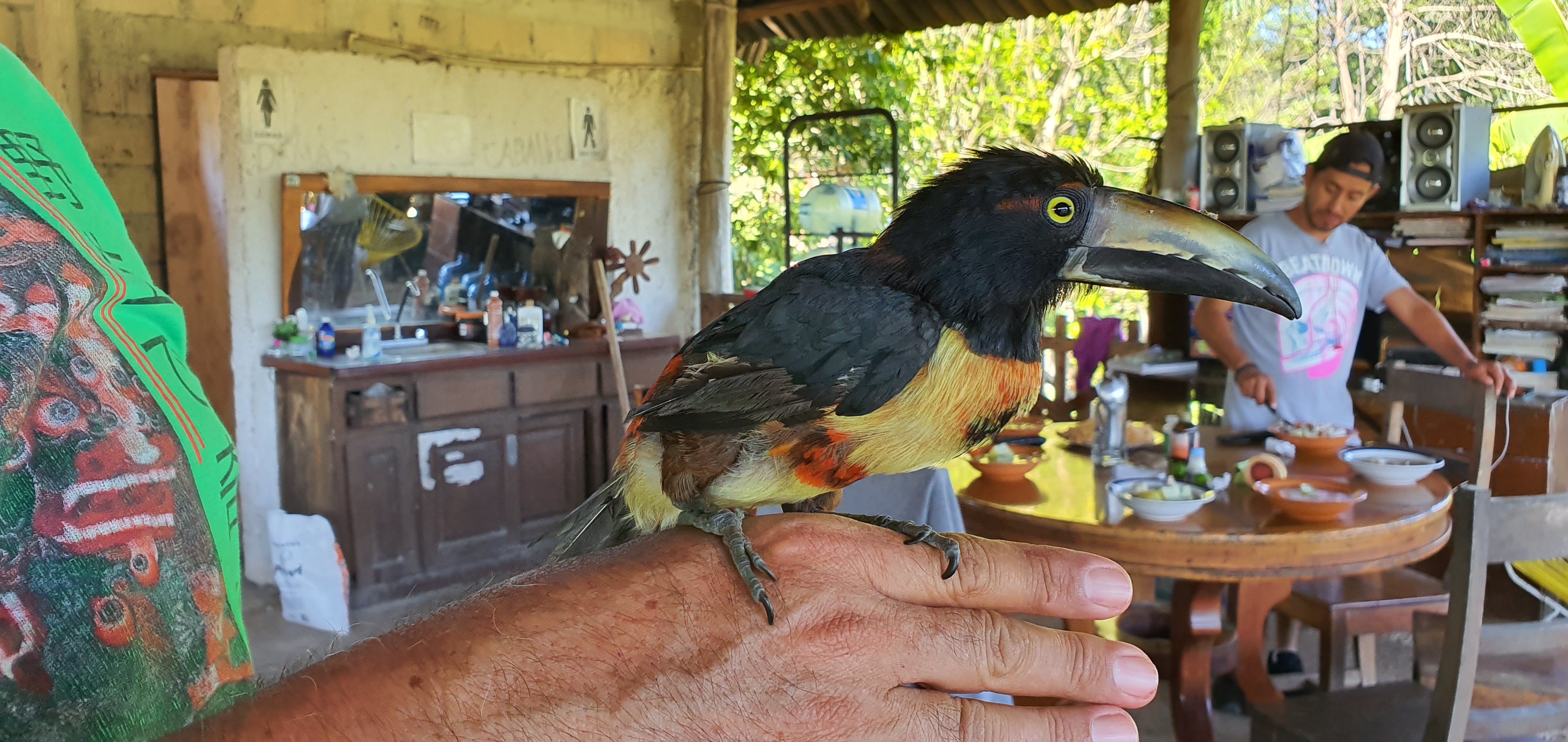 Restaurante Pollos a la leña - camping with free shower image 6