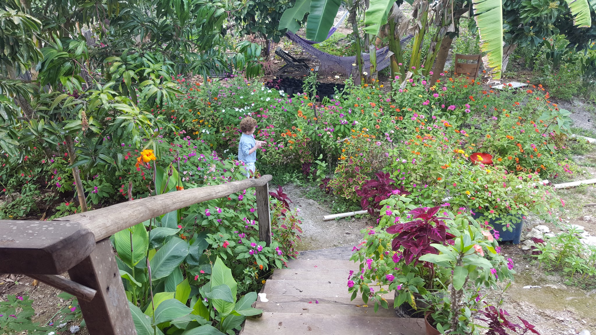 Restaurante Pollos a la leña - camping with free shower image 7
