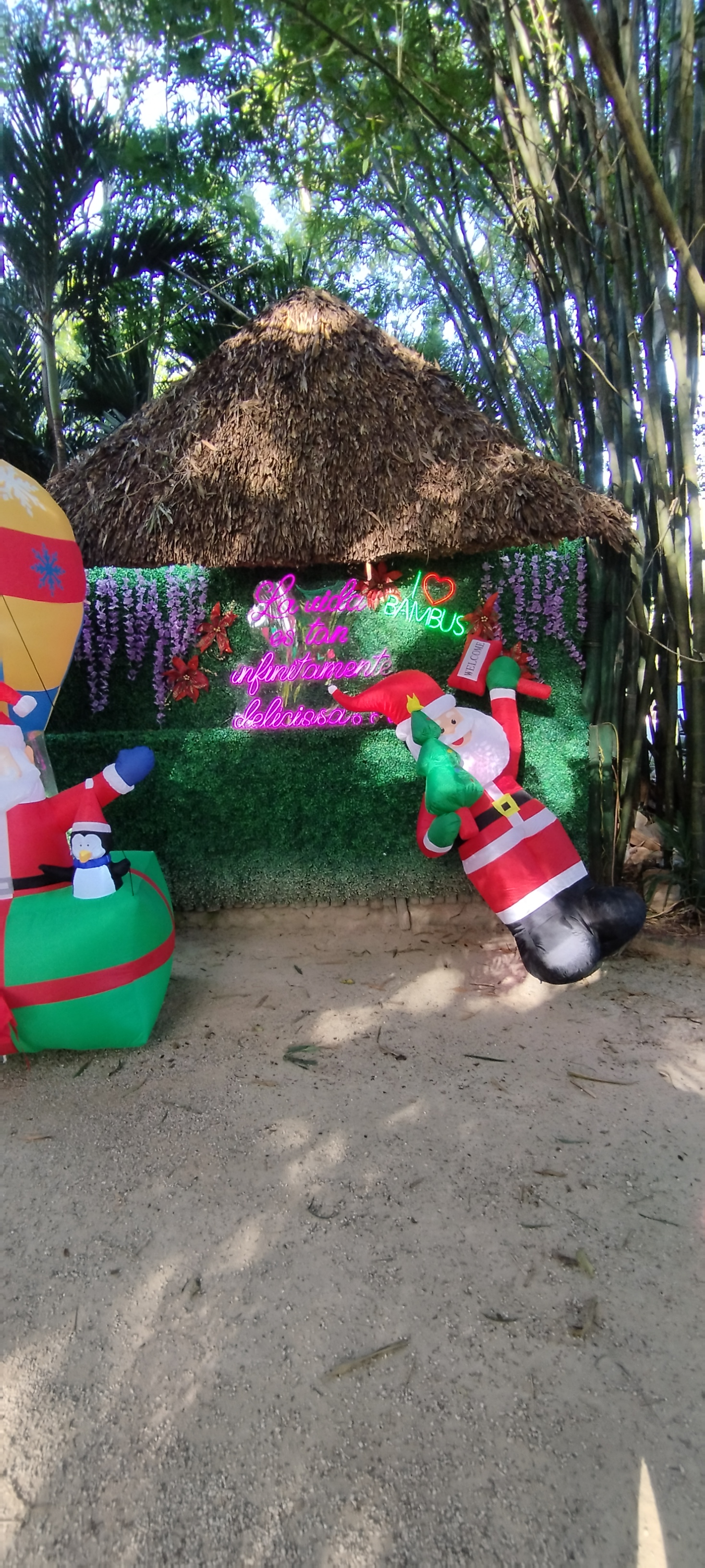 Tacos&Grill Los Bambus image 4