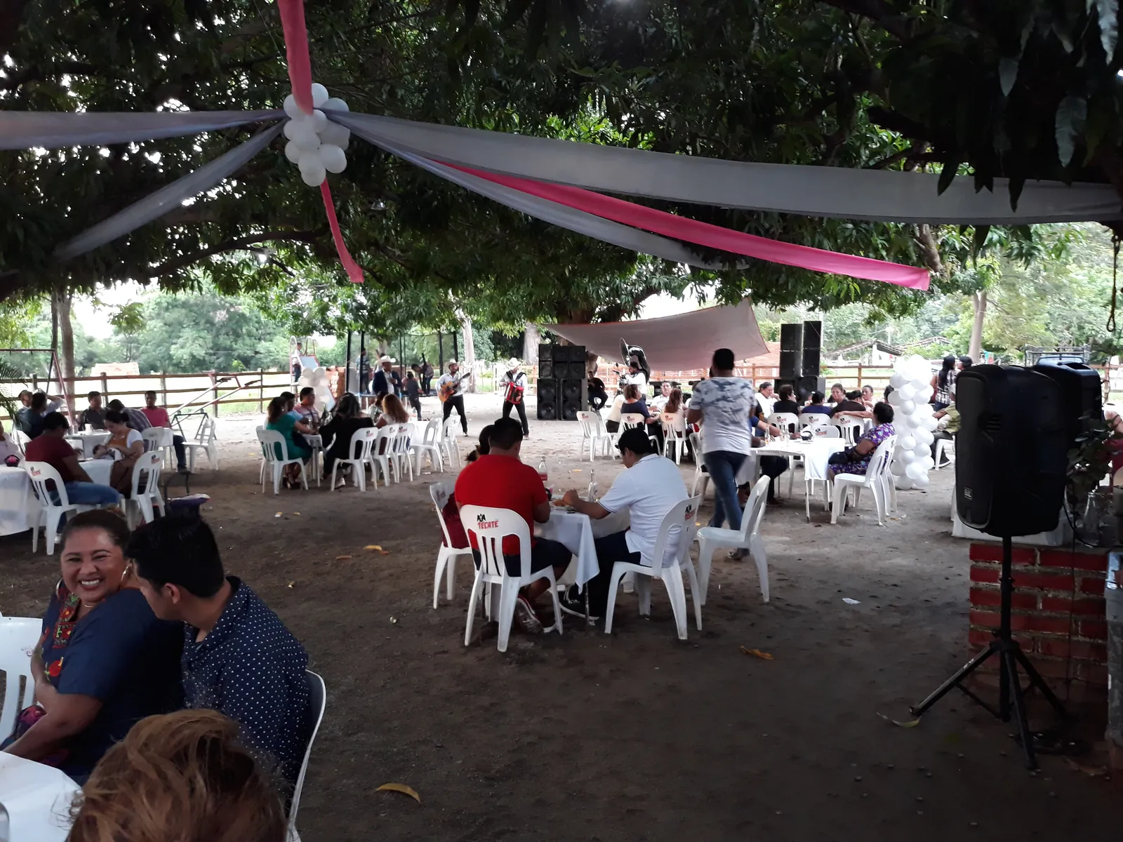 La palapa del abuelo image 3
