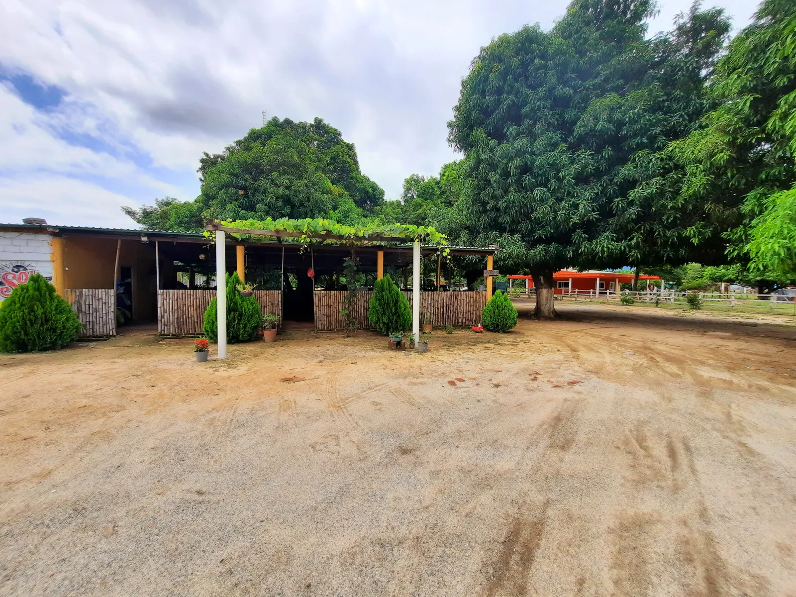 La palapa del abuelo image 4