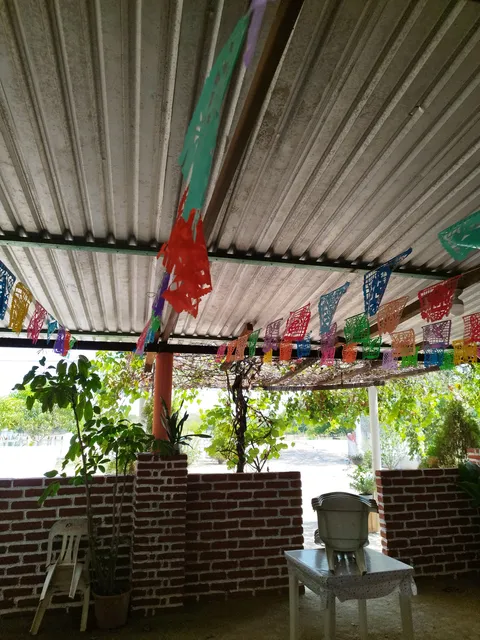 La palapa del abuelo image 5