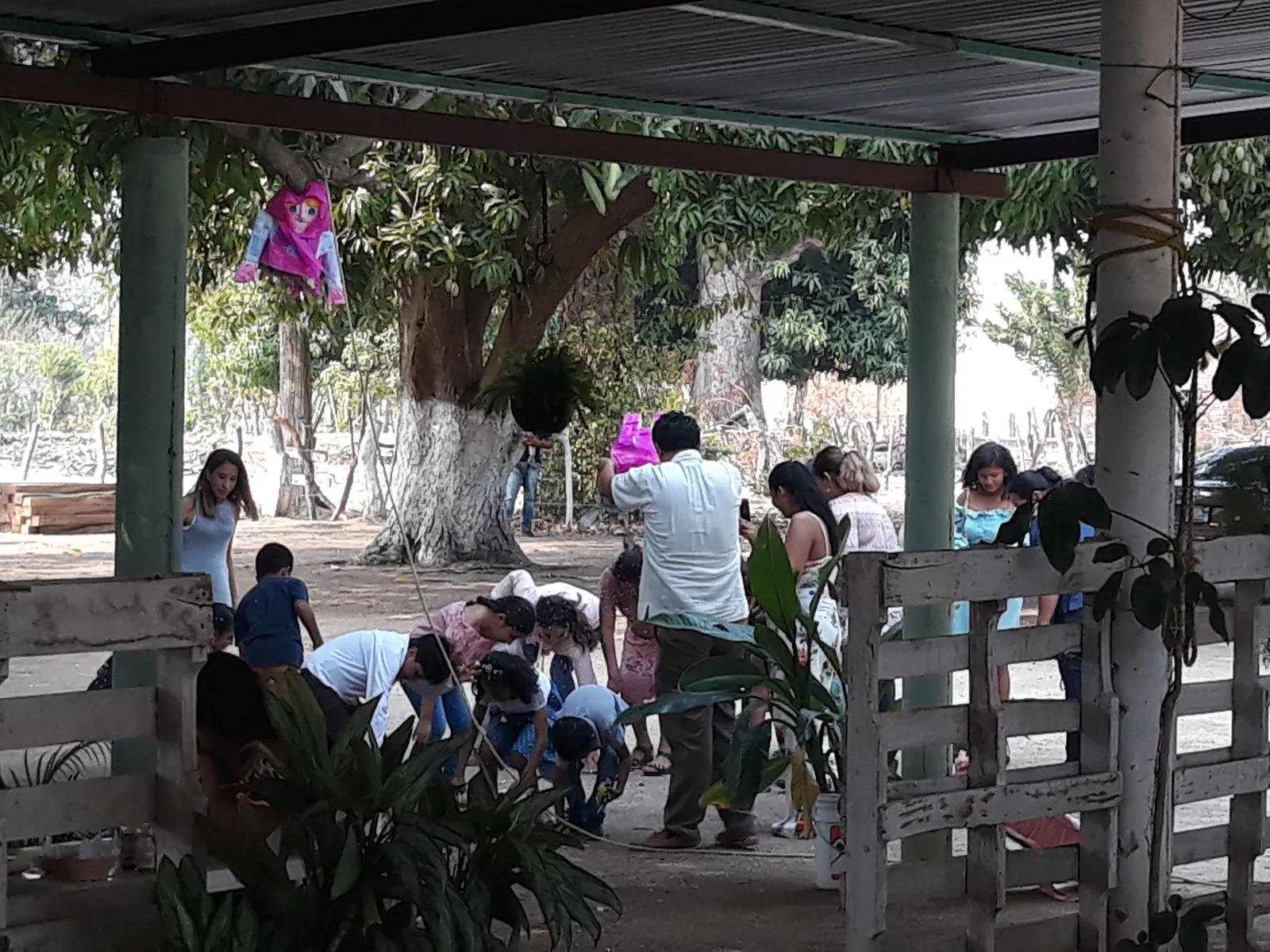 La palapa del abuelo image 10