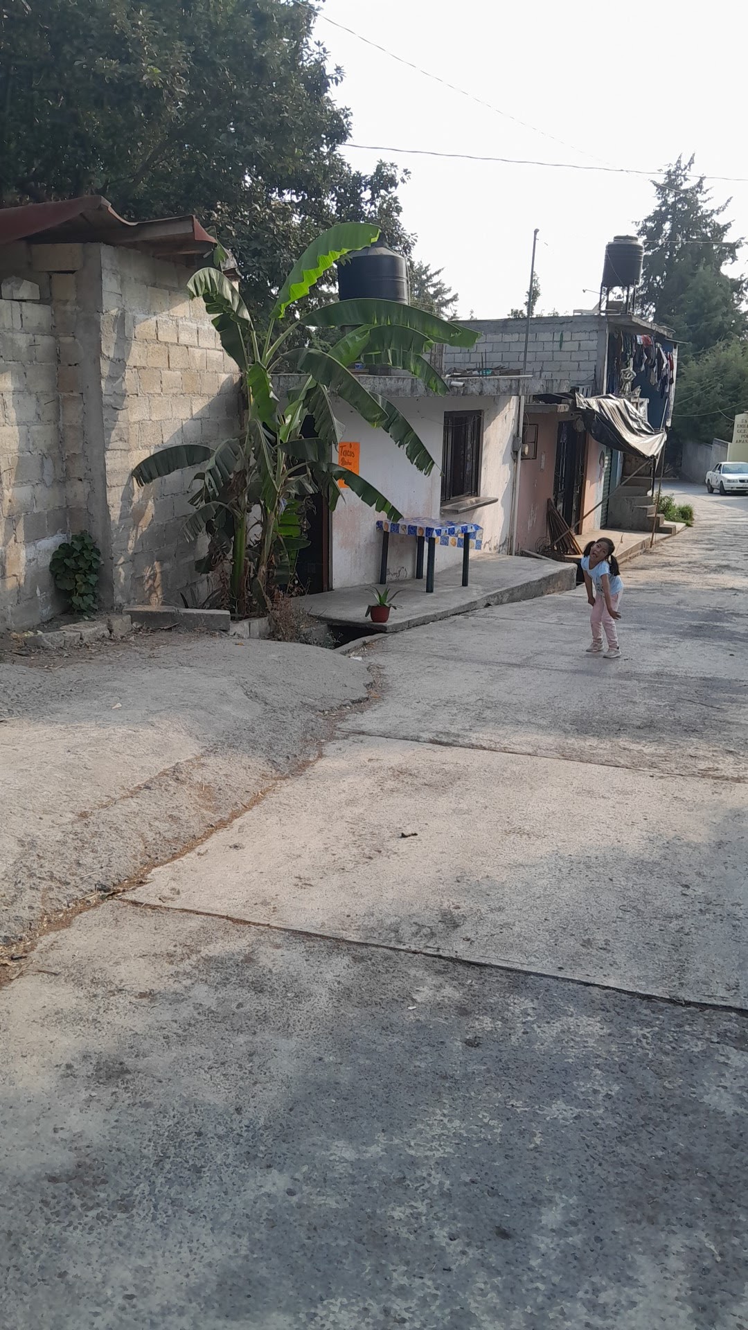 Taqueria emma image 3