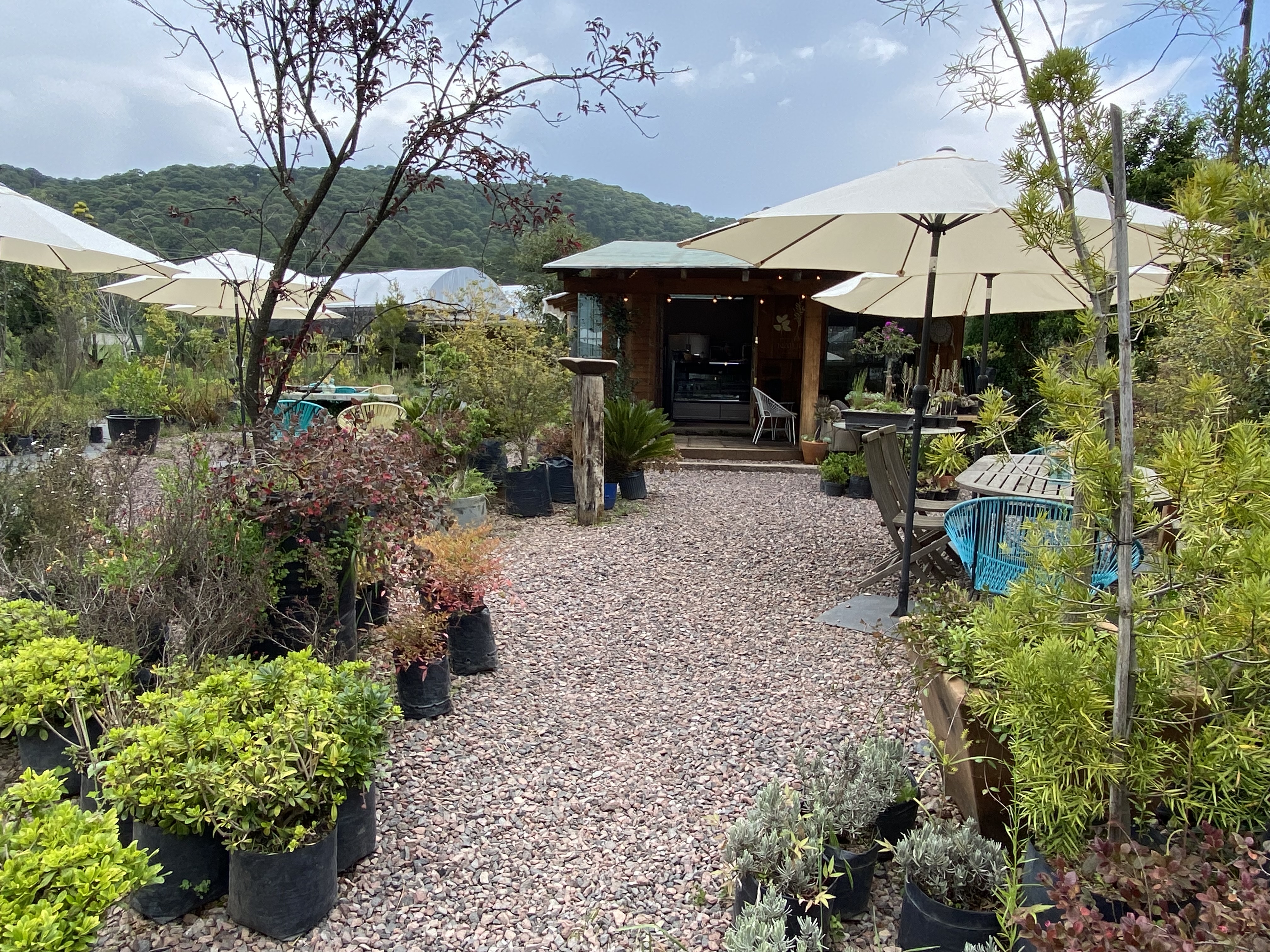 NATURA COCINA RÚSTICA image 9