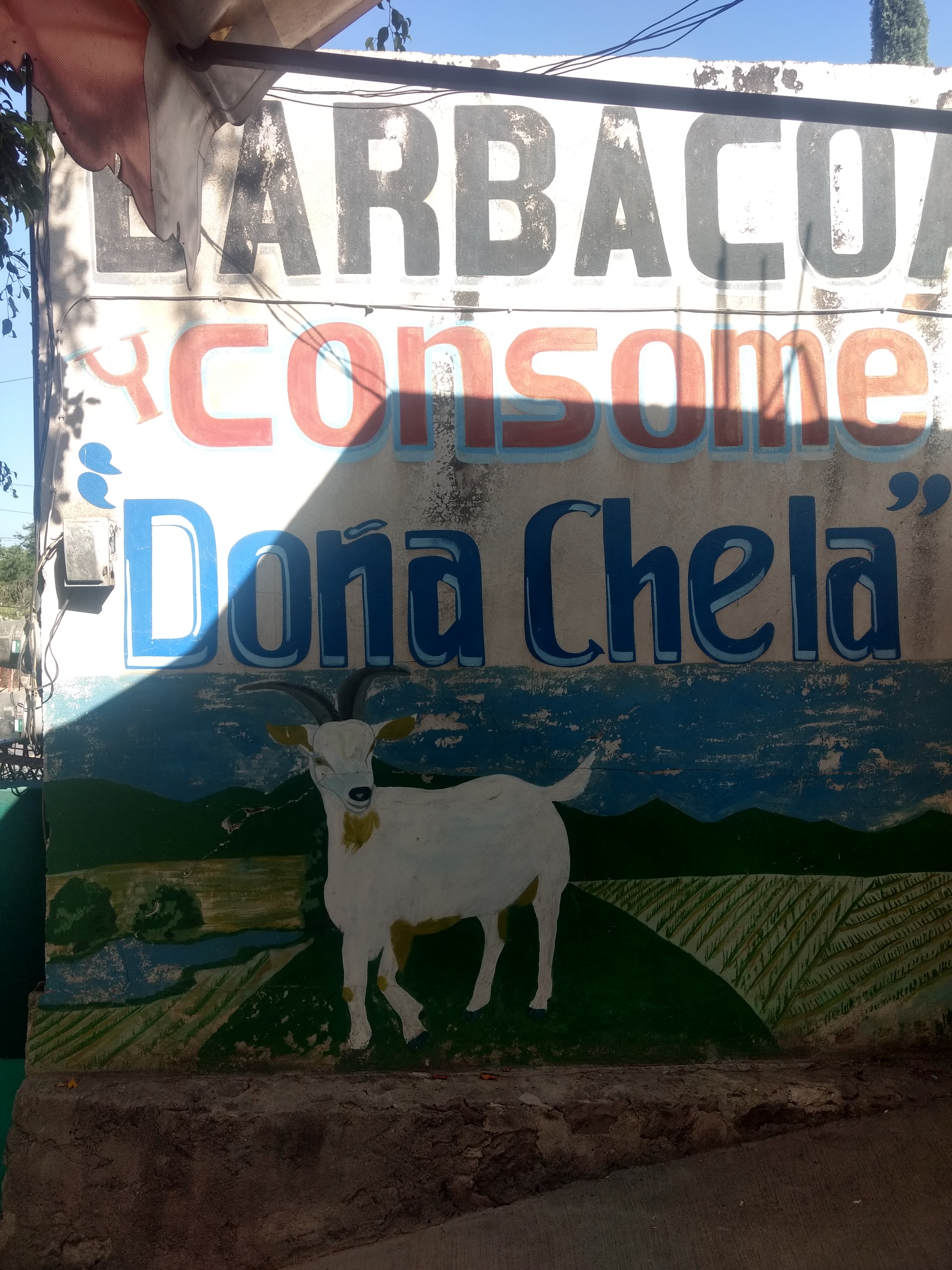 Barbacoa Y Consomé "Doña Chela" image 3