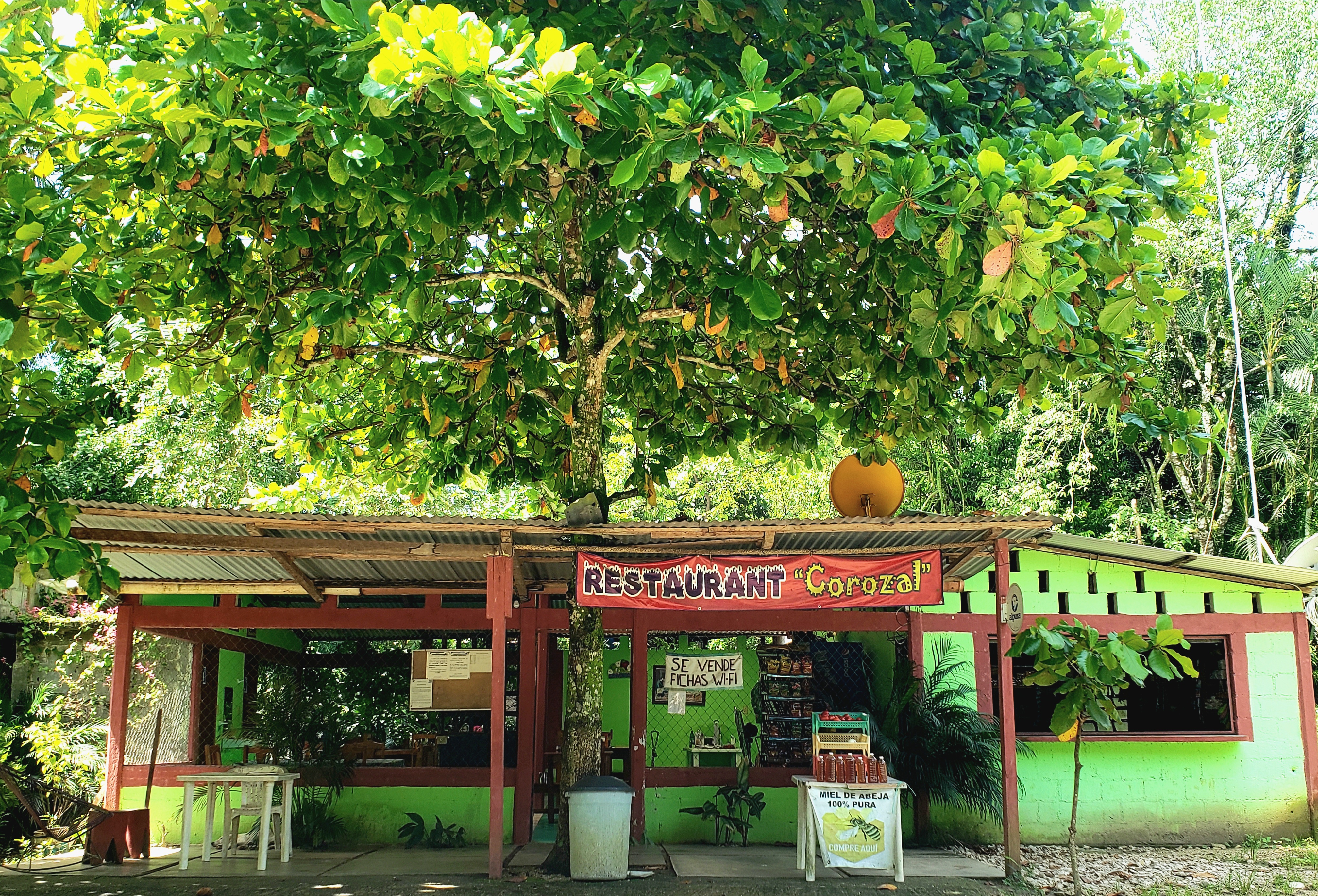Restaurante Corozal image 3