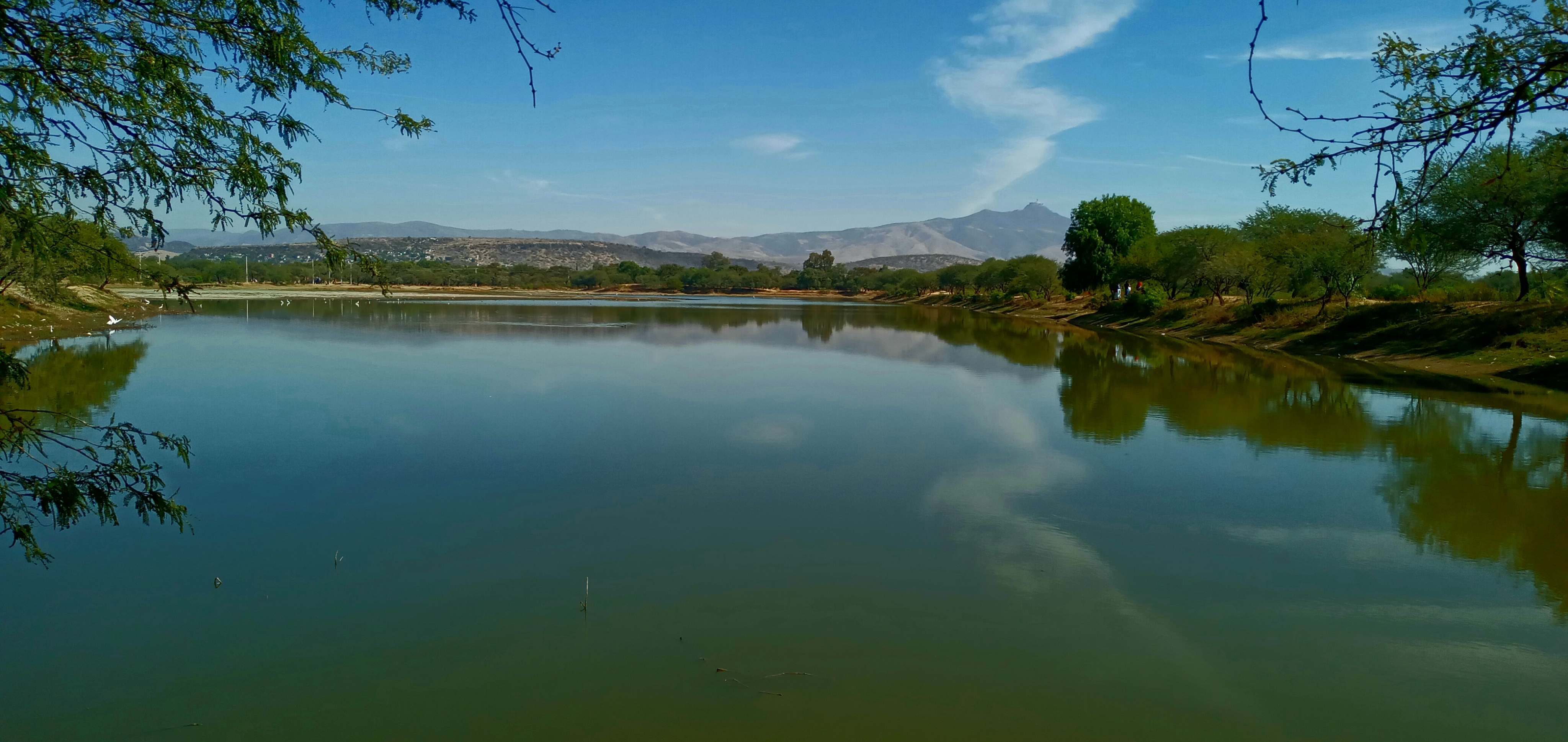 Napoles Calle Pirules #2 image 3