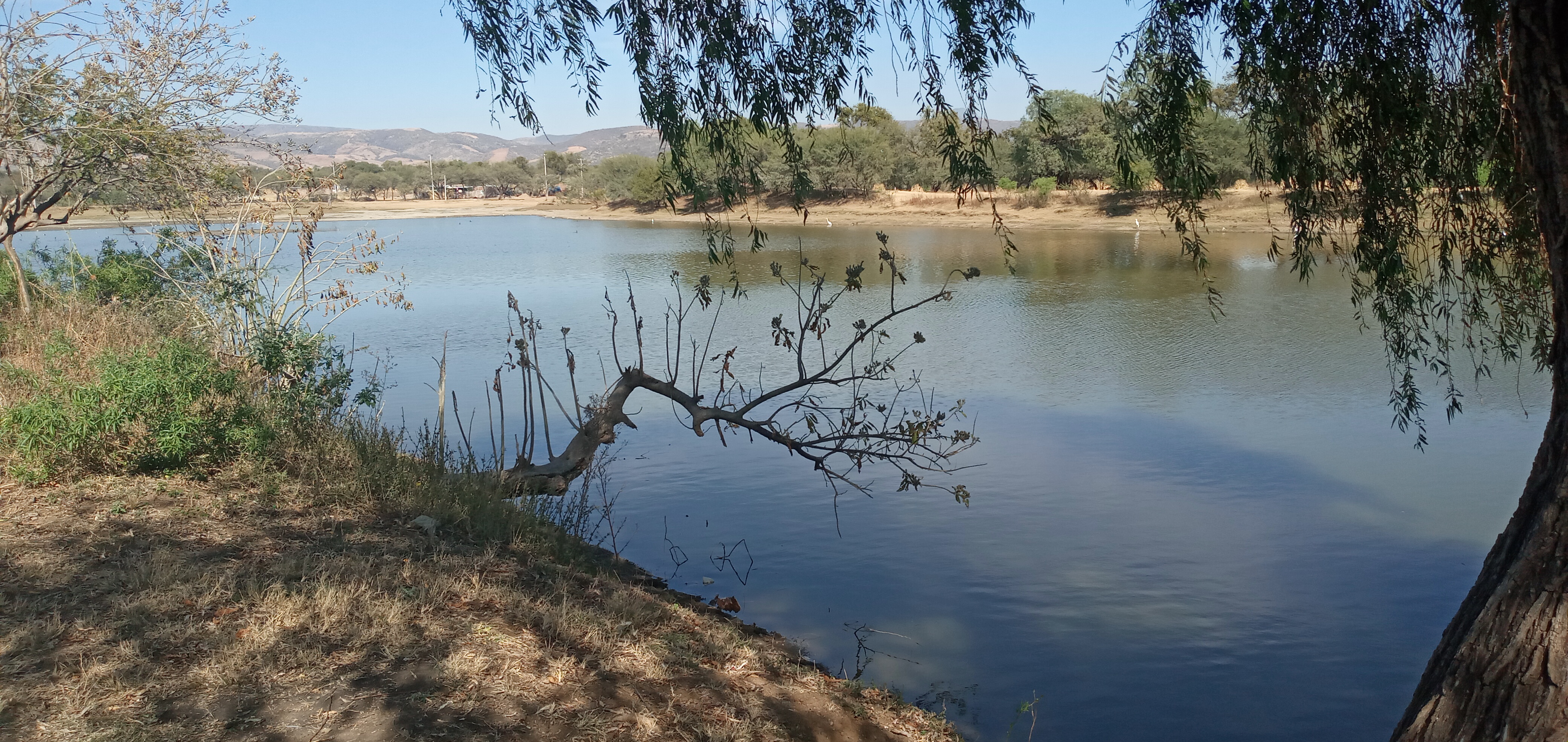 Napoles Calle Pirules #2 image 9