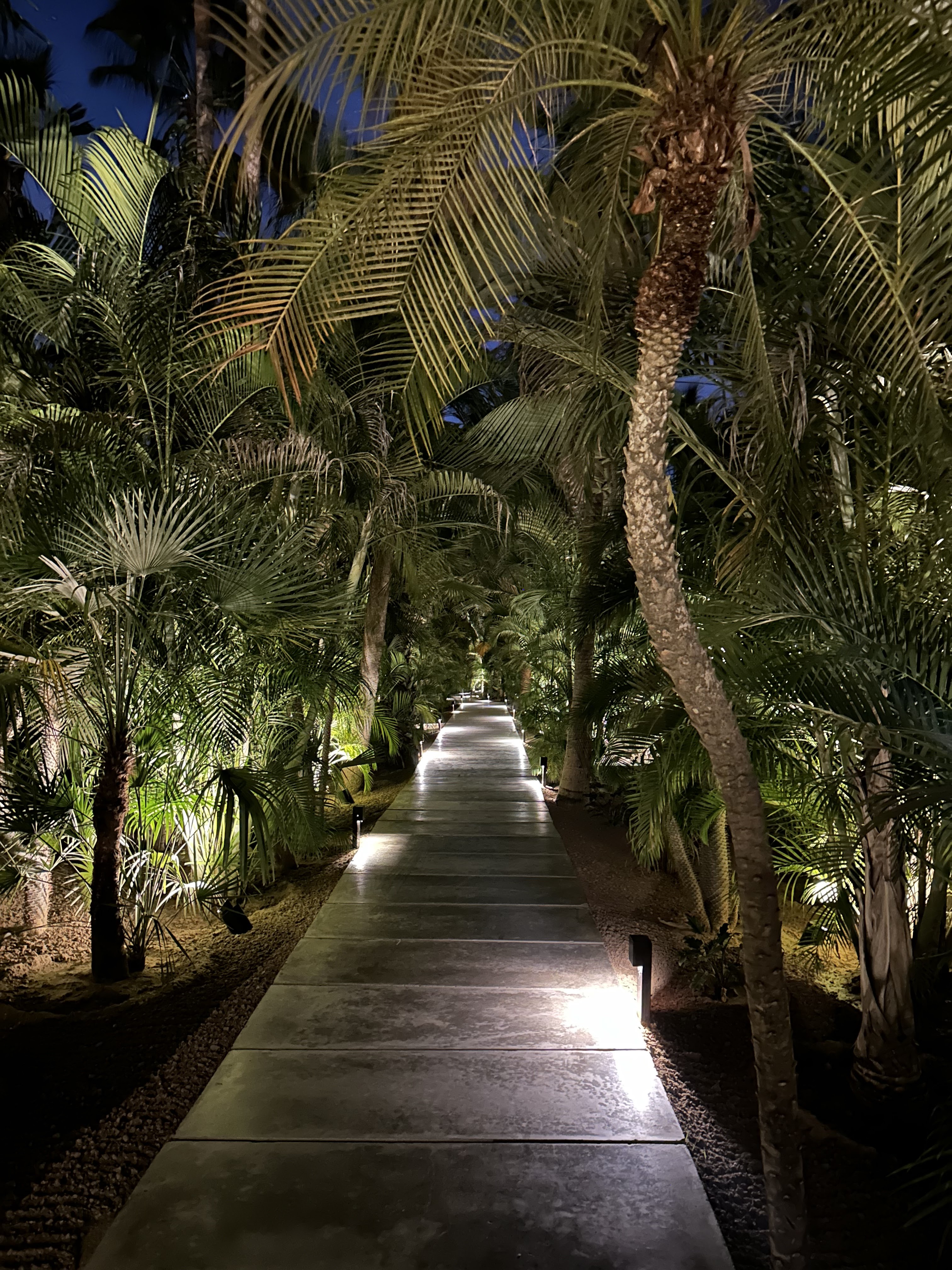 Acre Restaurant image 6