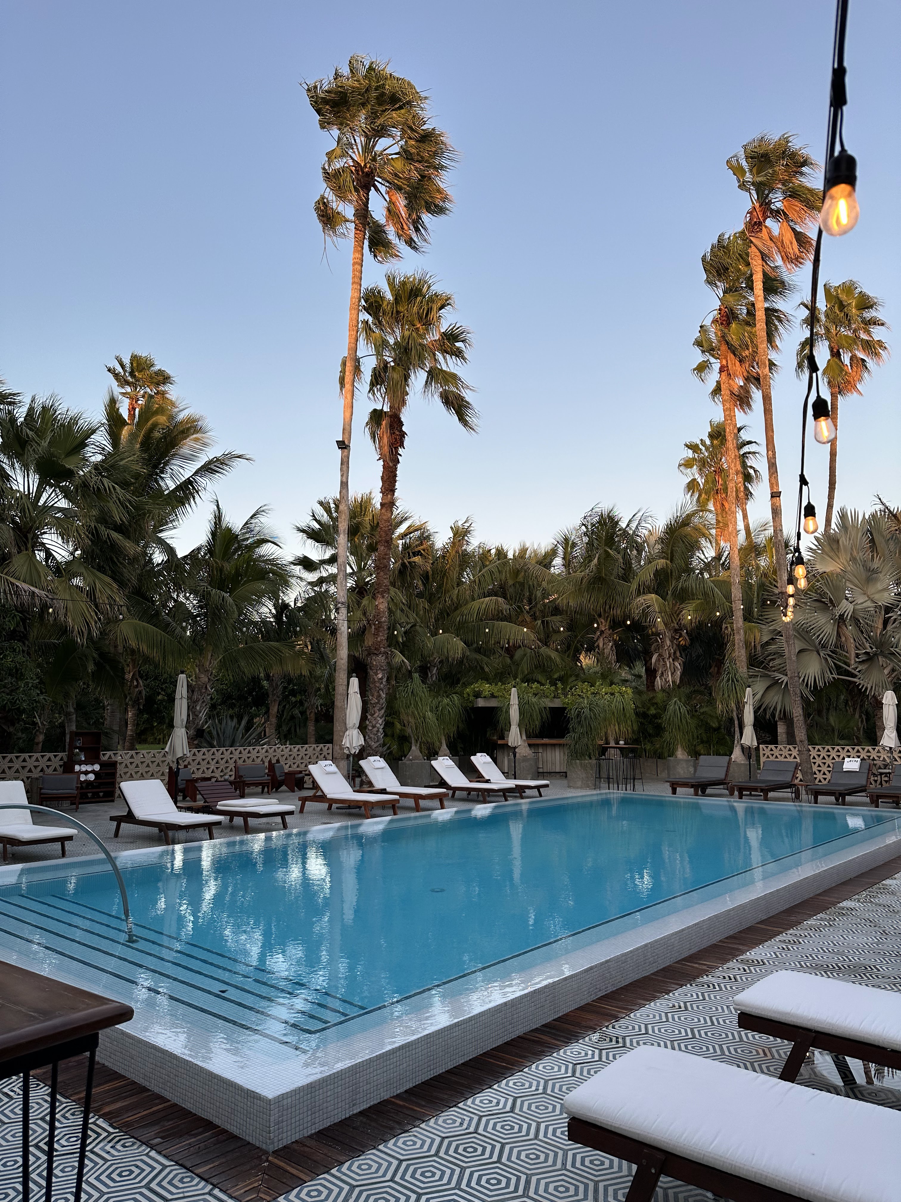 Acre Restaurant image 8