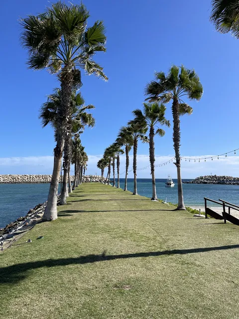 EL Ganso Beach Club image 3