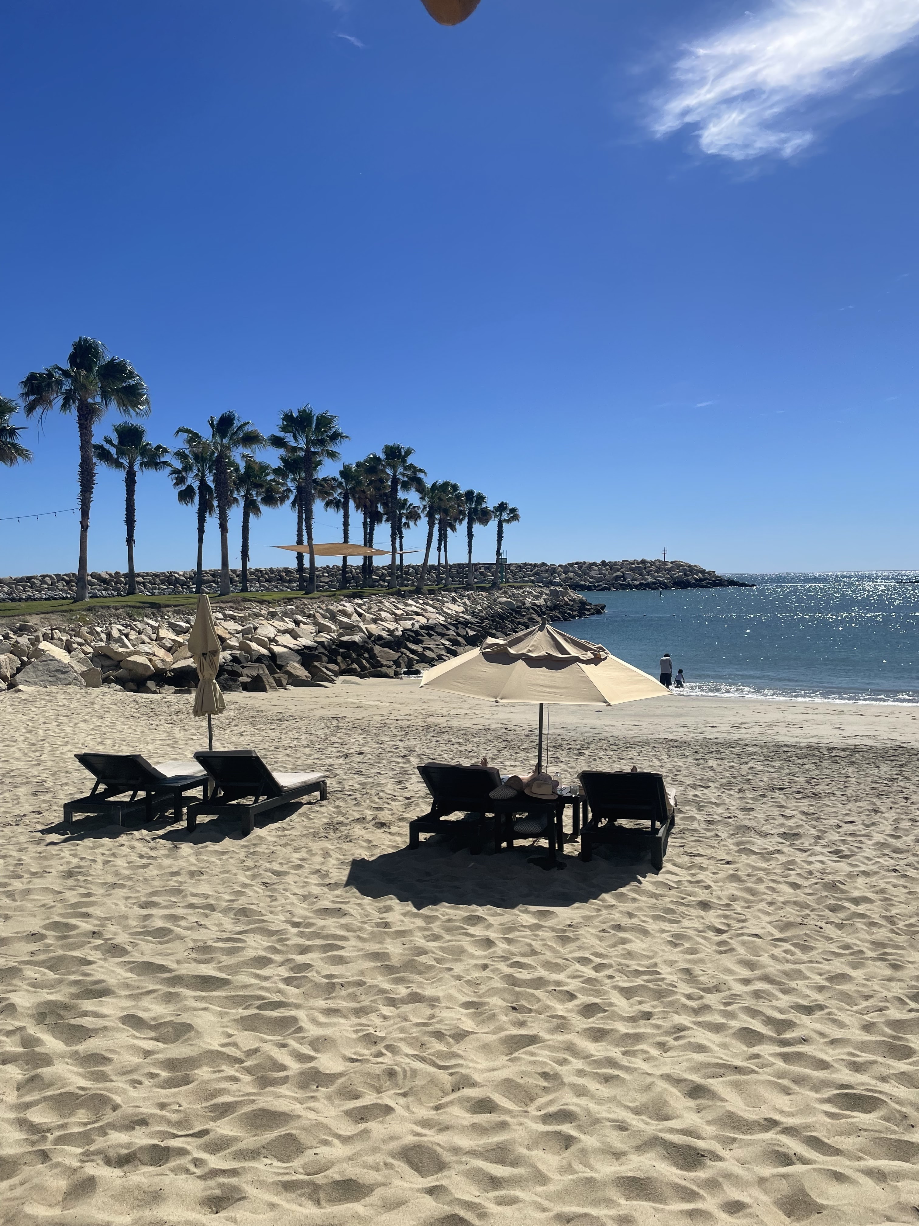 EL Ganso Beach Club image 4