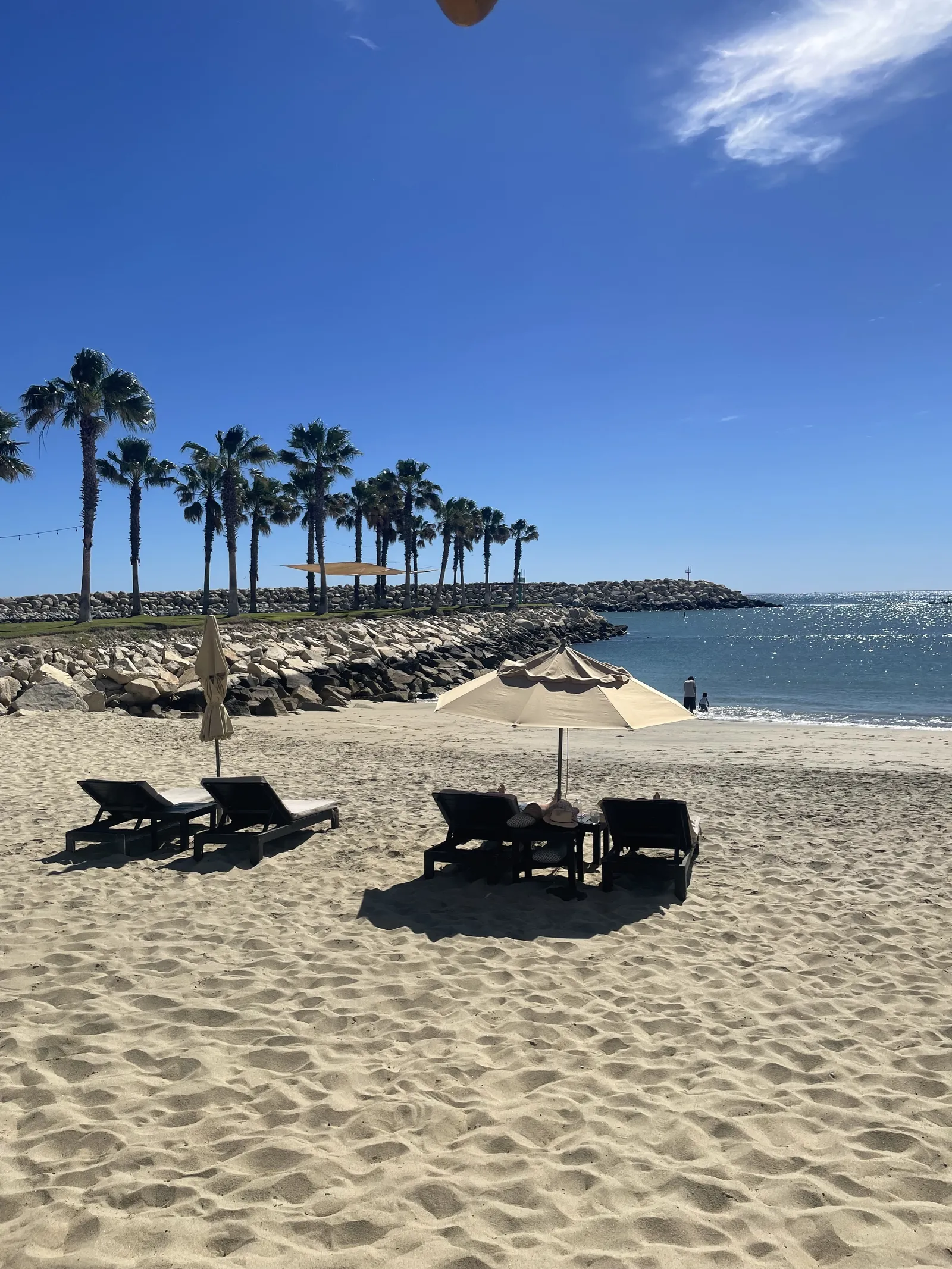 EL Ganso Beach Club image 4