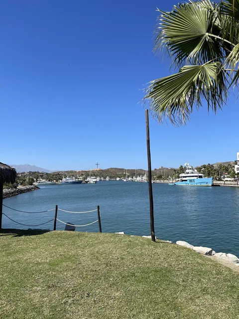EL Ganso Beach Club image 5