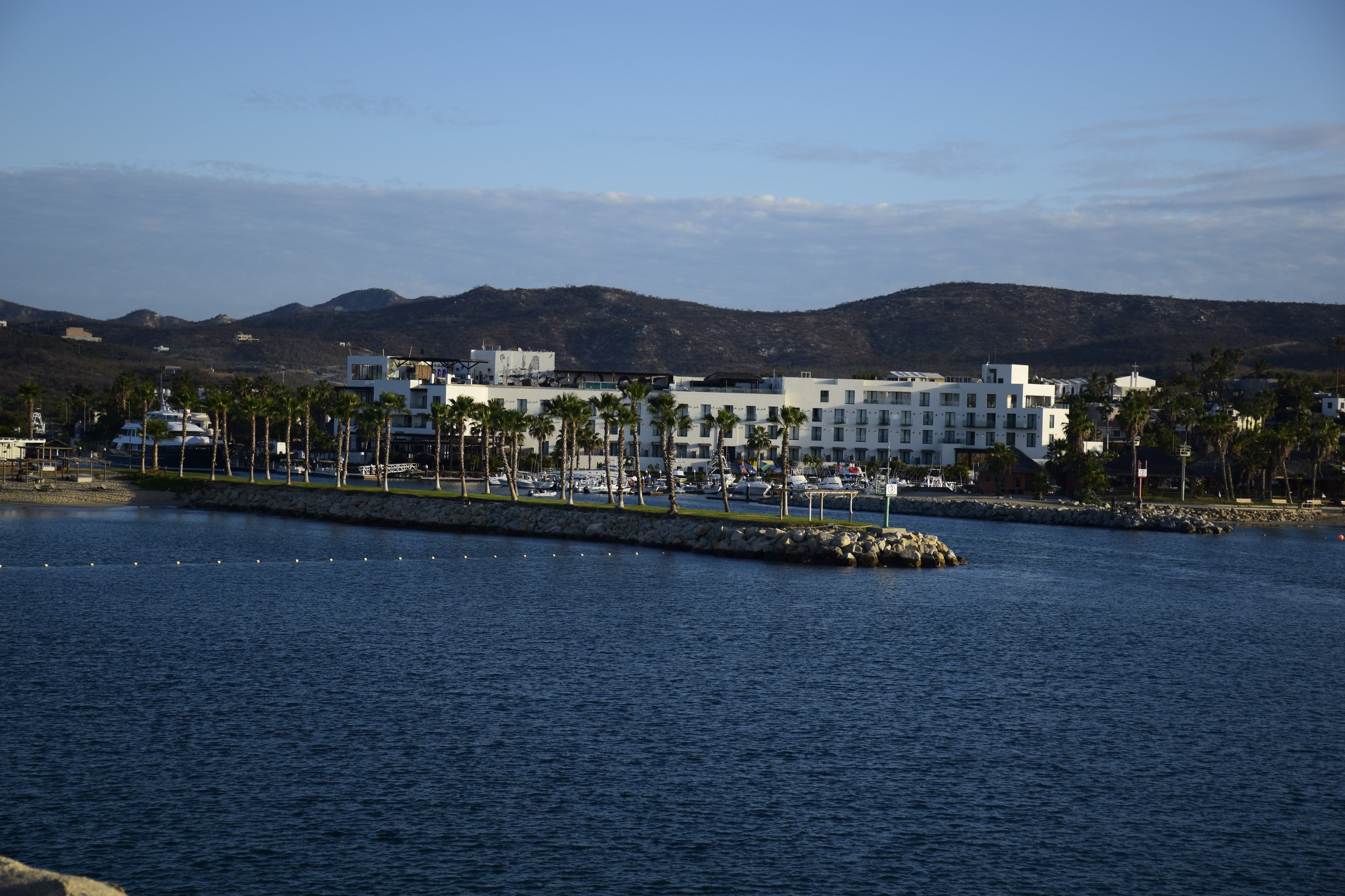 EL Ganso Beach Club image 6